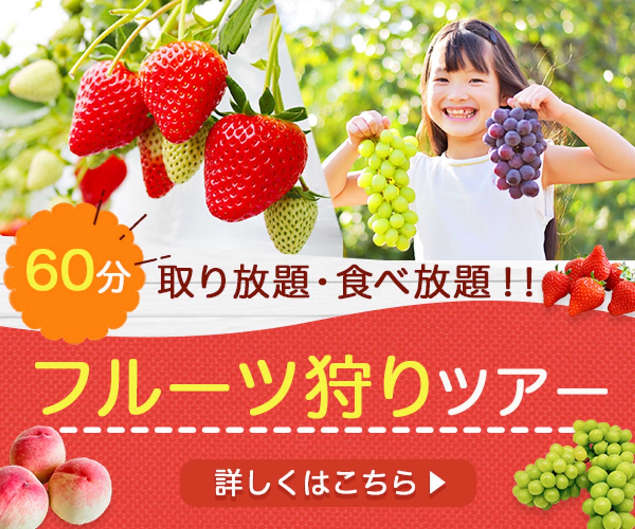 バナー：フルーツ狩り-1