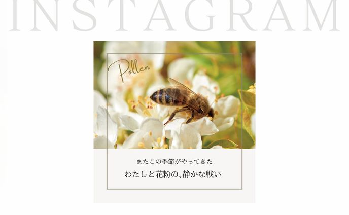 オリジナル、フィード投稿