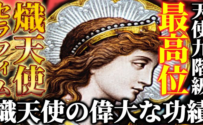 提案4