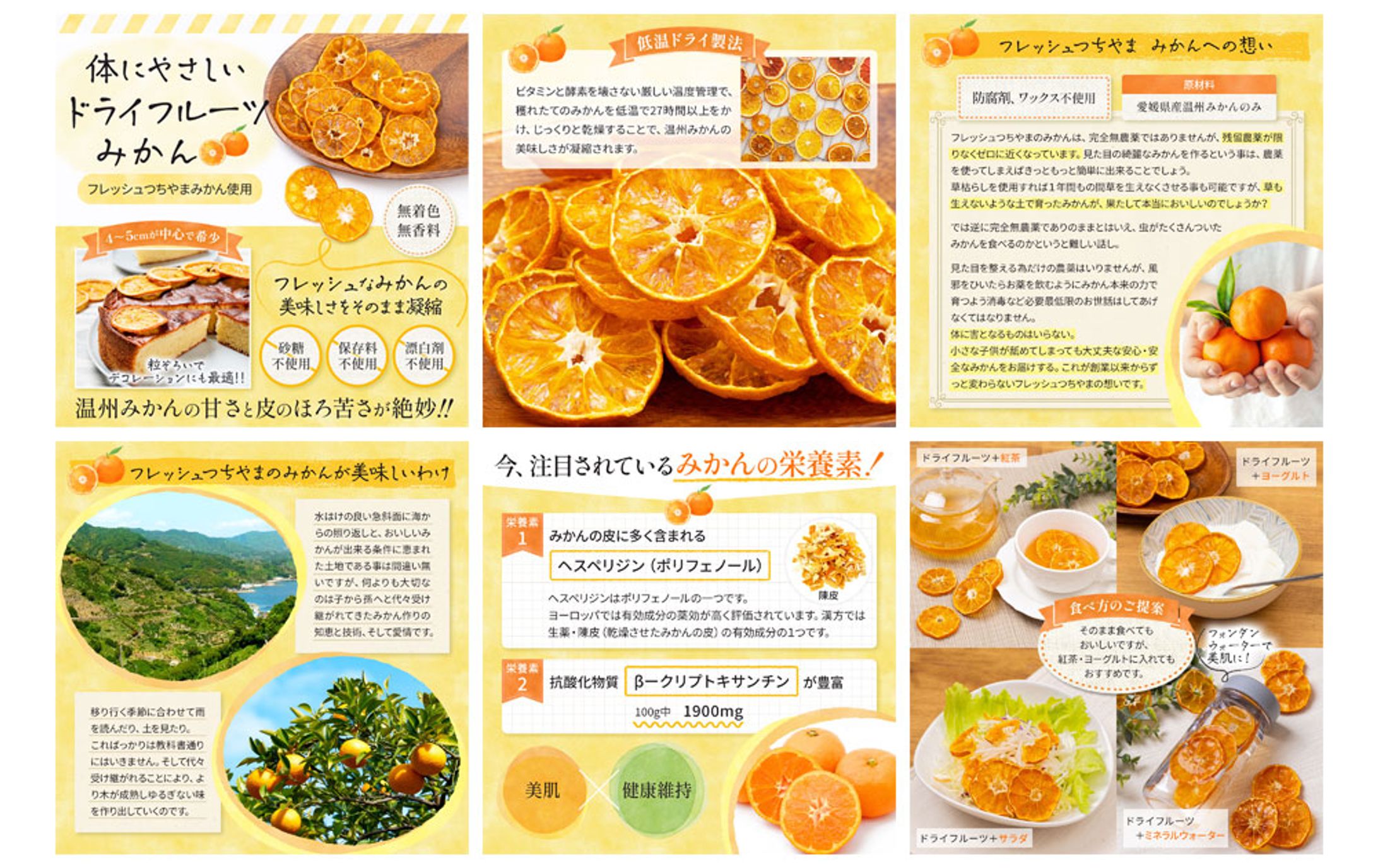 【商品画像】ドライみかん-1