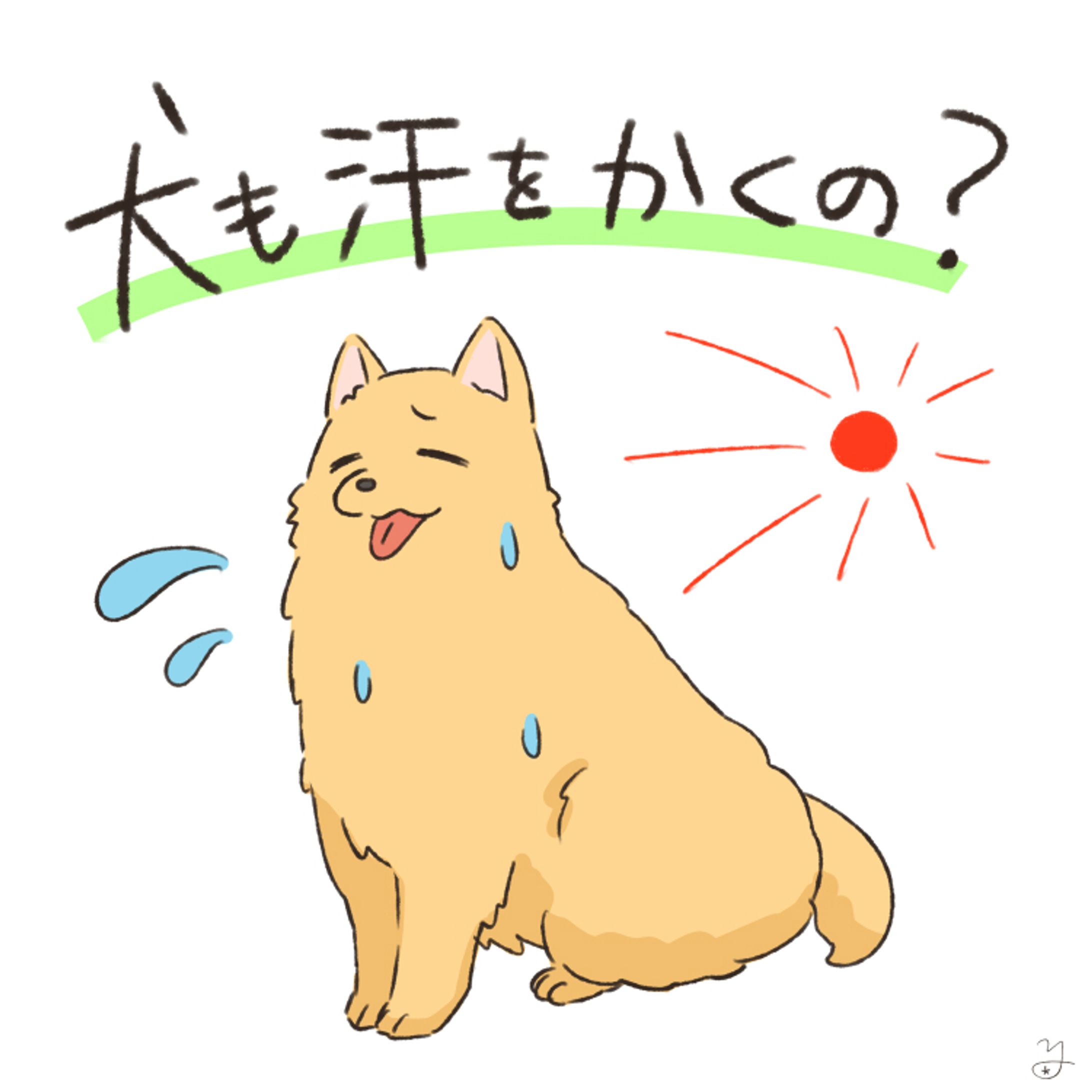 犬＿豆知識-1