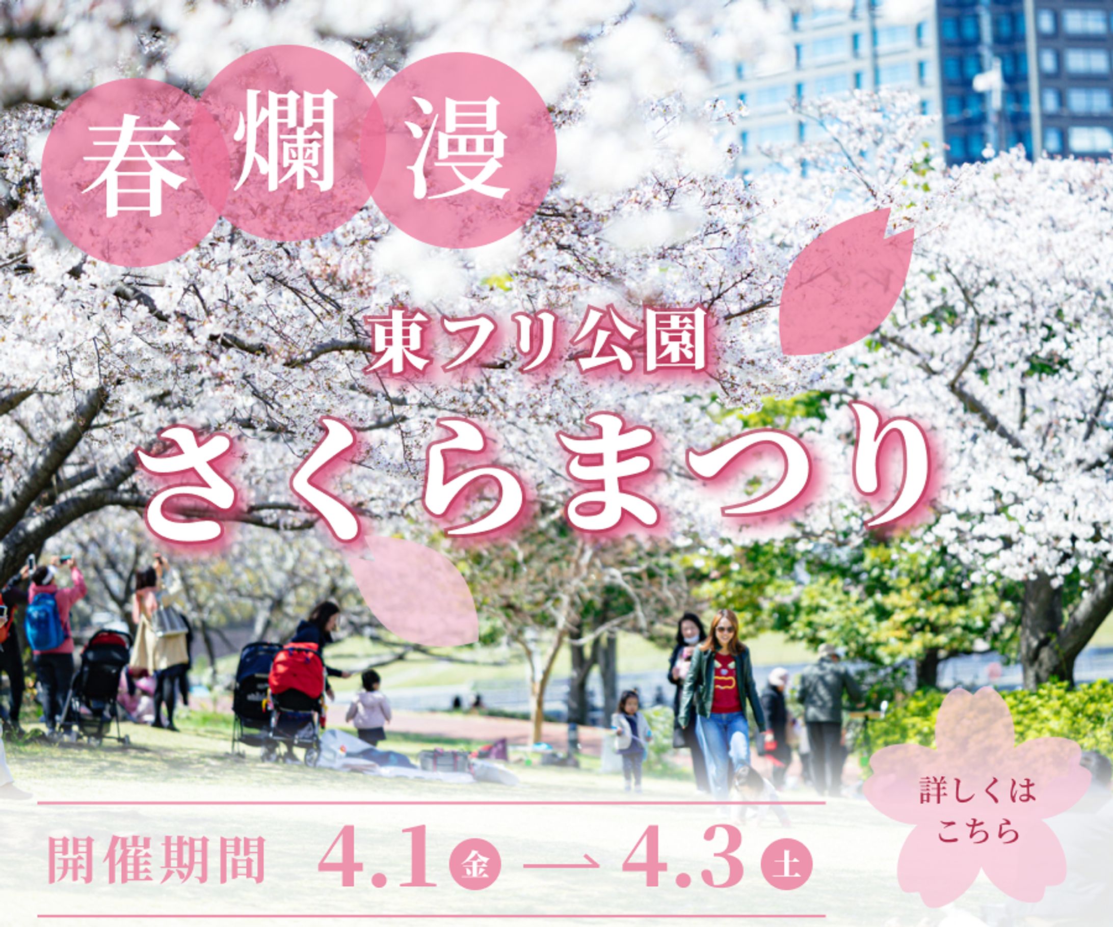 さくらまつり　バナー-1