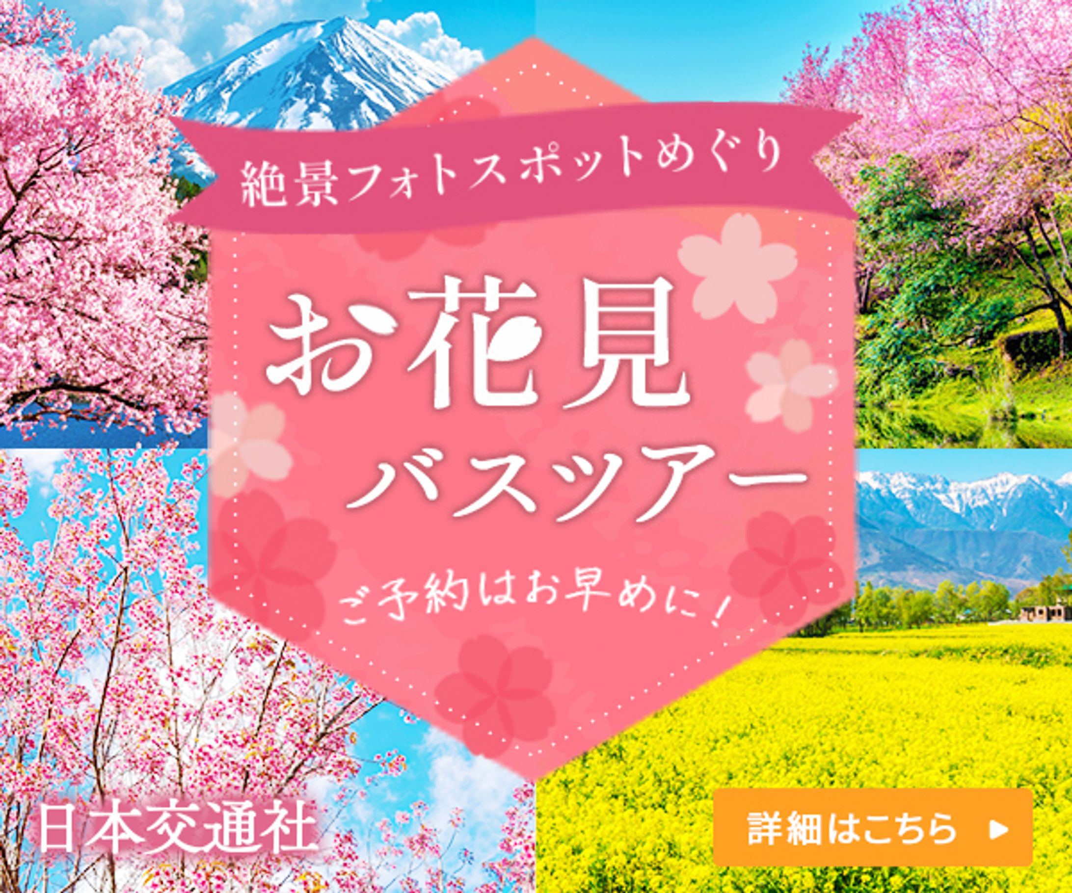 バナー　バスツアー-1