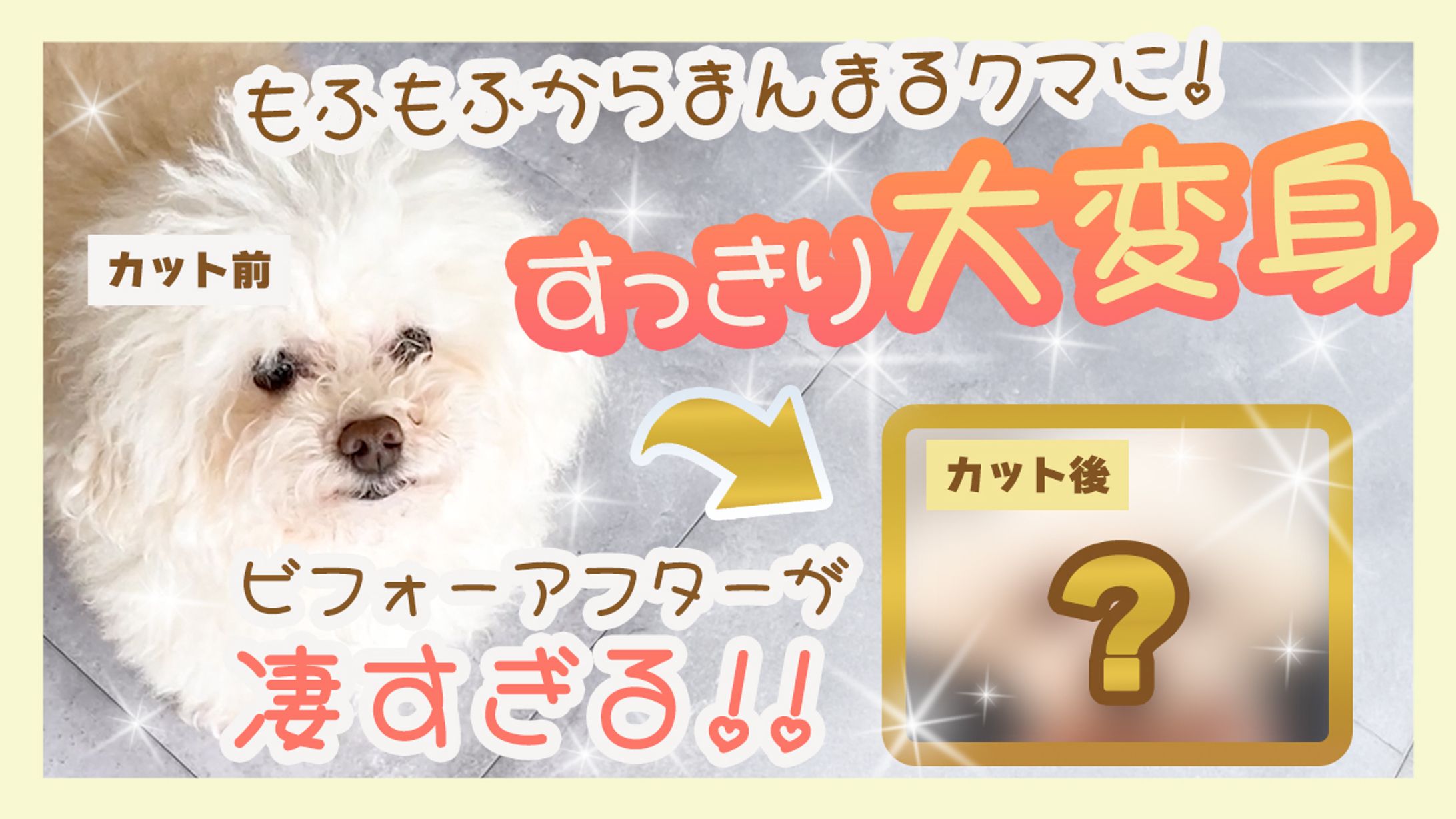 サムネイル-1