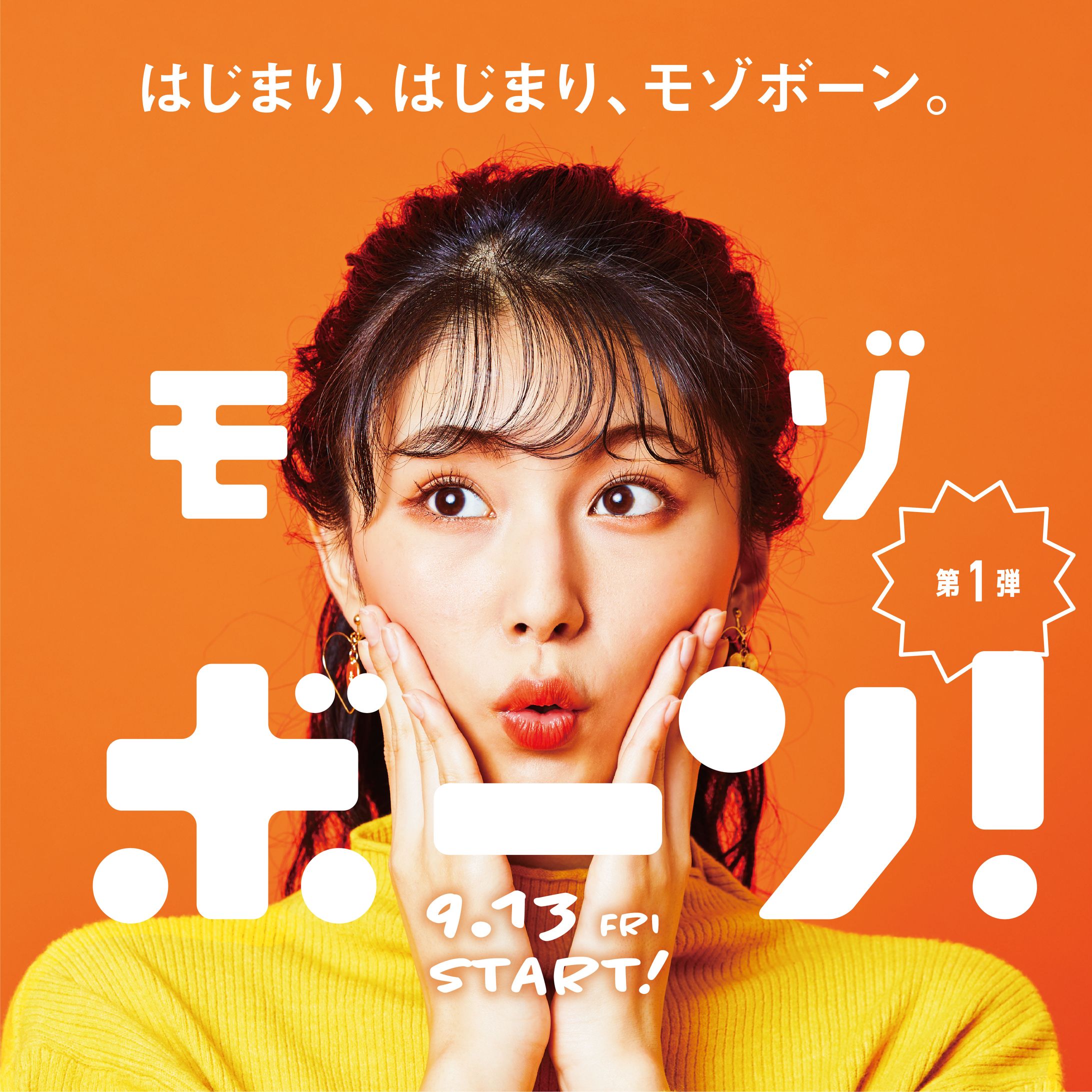キャンペーンVI-1