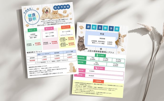 ペット健康診断チラシ
