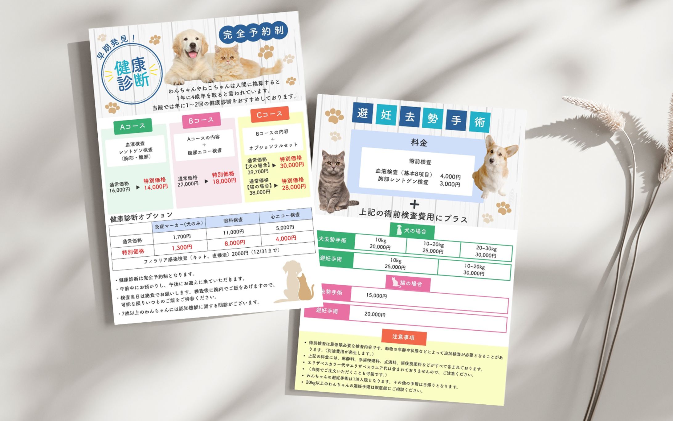 ペット健康診断チラシ-1
