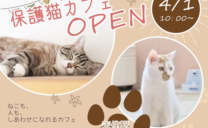 保護猫カフェバナー