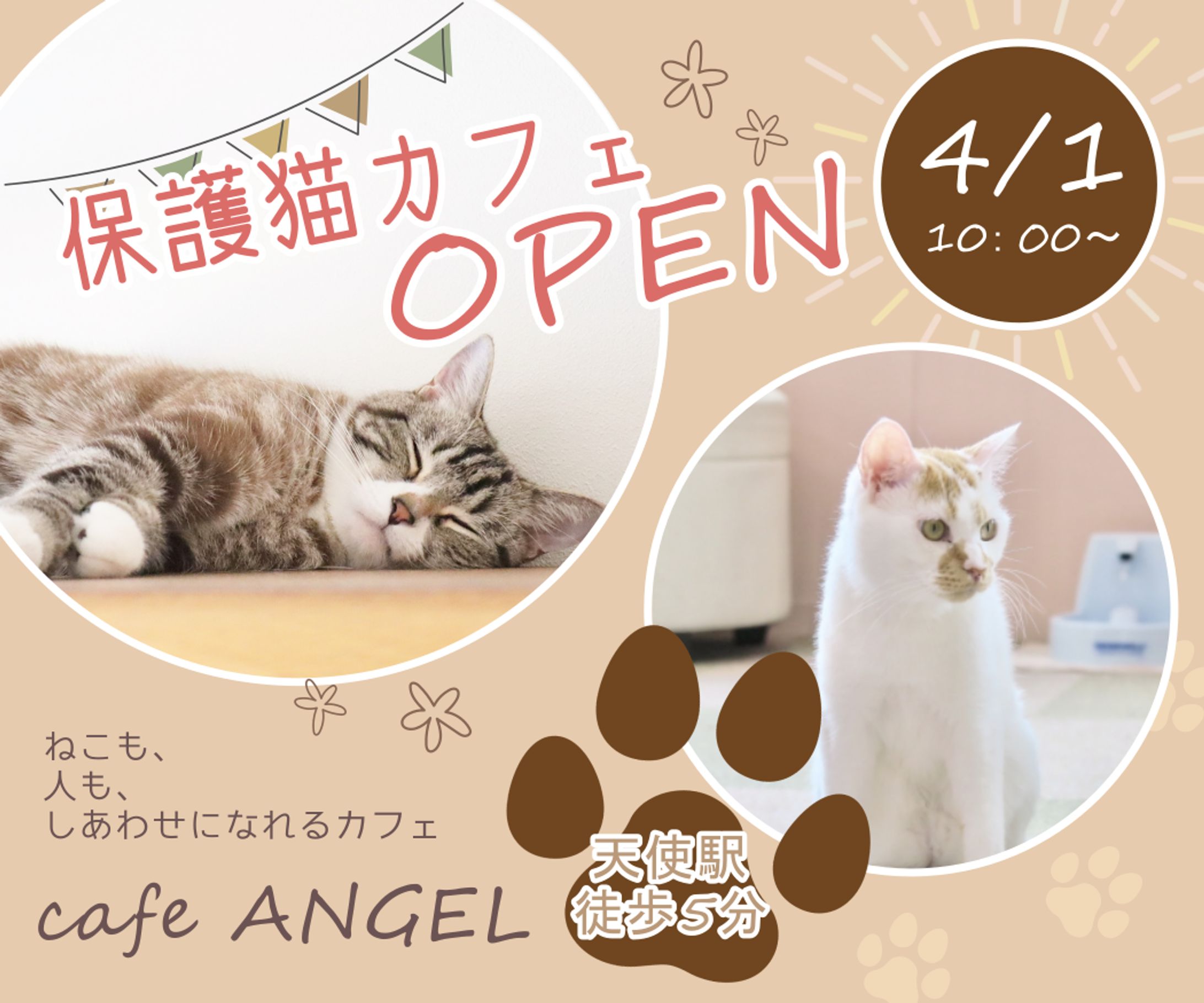 保護猫カフェバナー-1