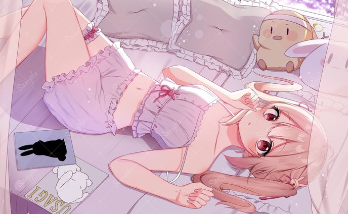 個人依頼　一枚絵