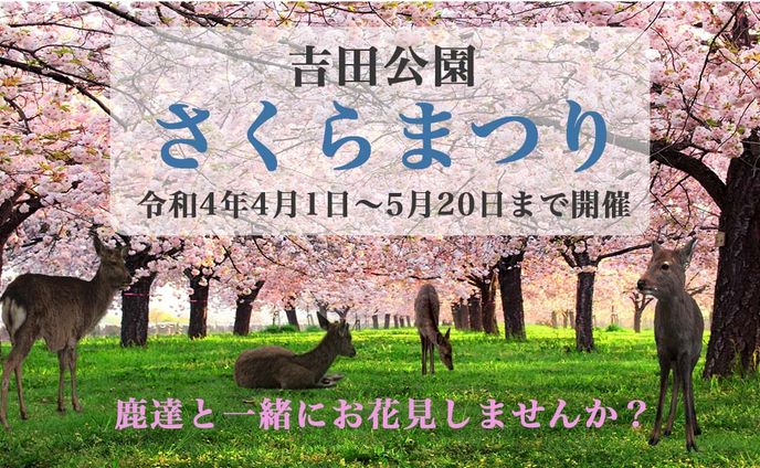 【架空】さくらまつり