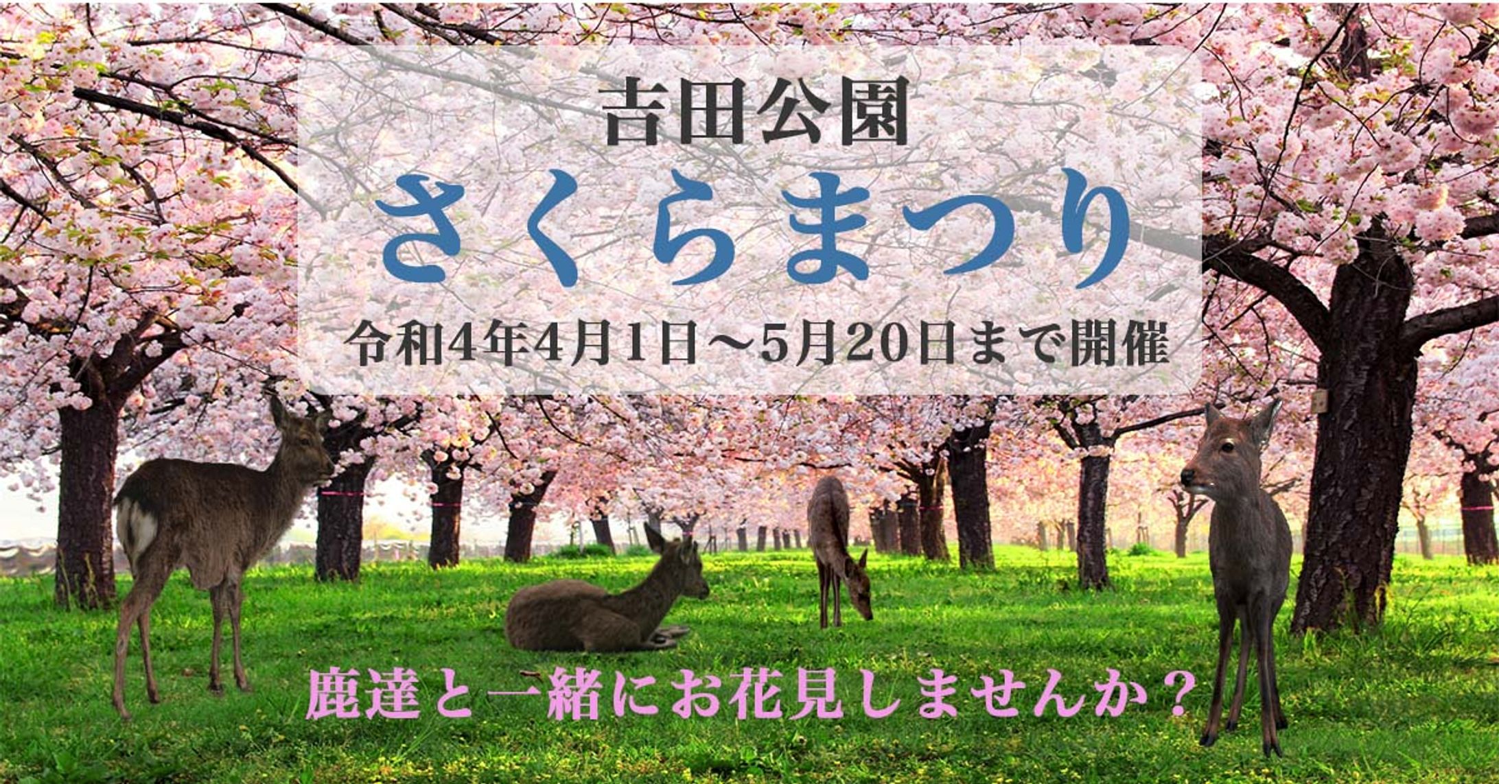 【架空】さくらまつり-1