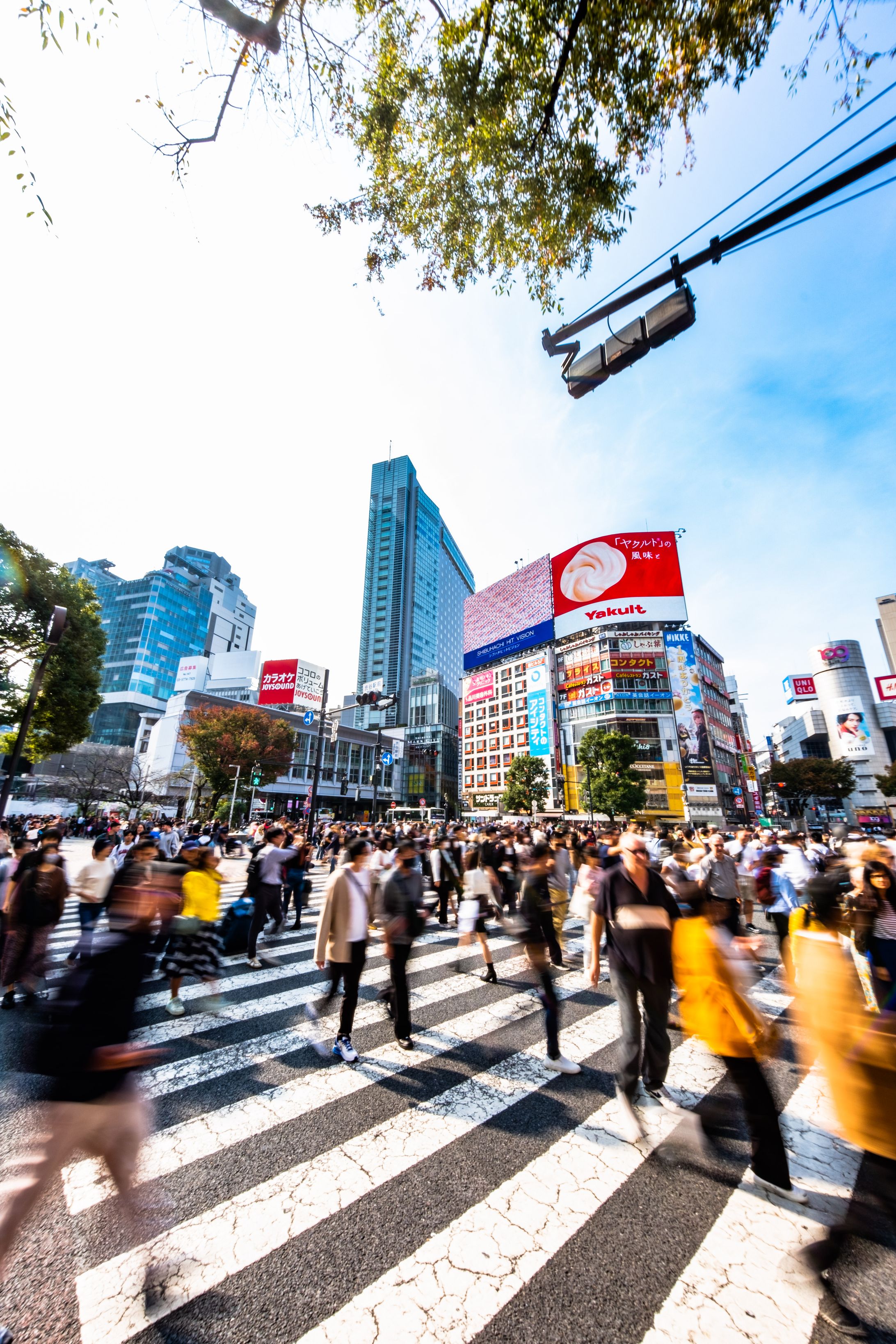 202311 東京-1