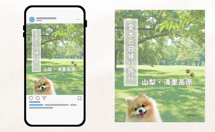 ペット関連アカウント SNSフィード投稿