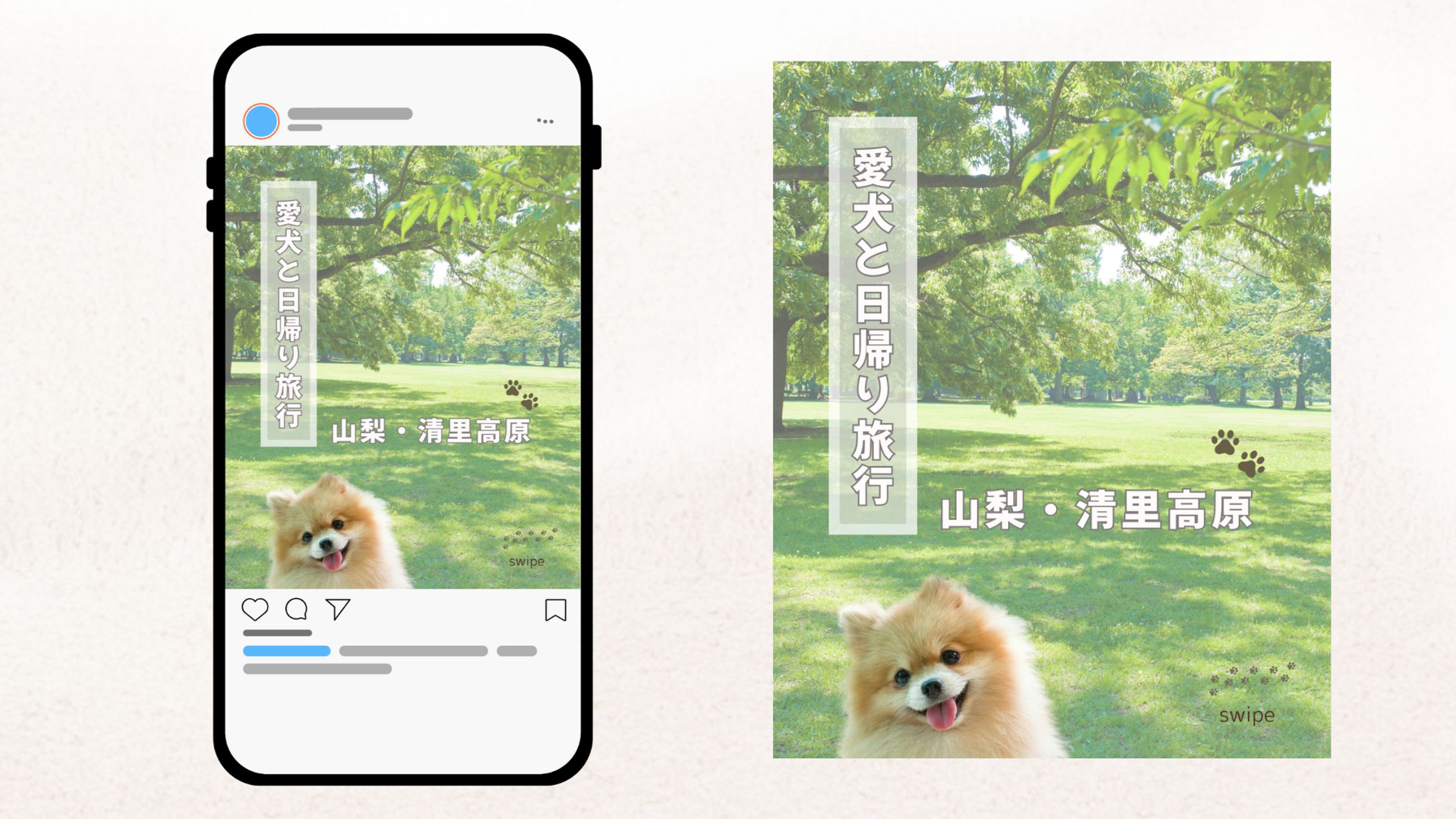 ペット関連アカウント SNSフィード投稿-1