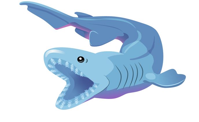 ラブカ