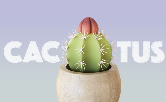 Cuctus