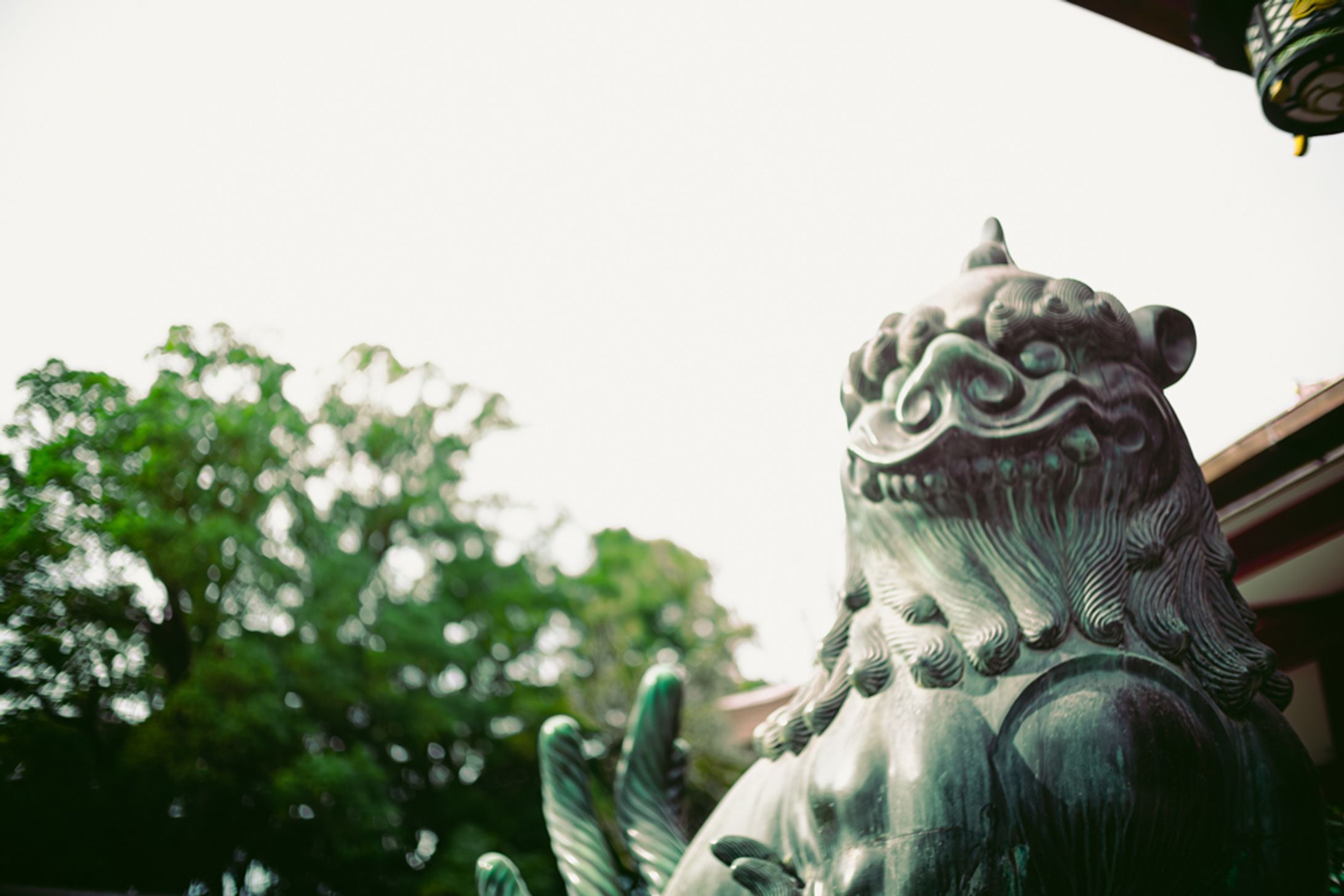 神社に住む獅子-1