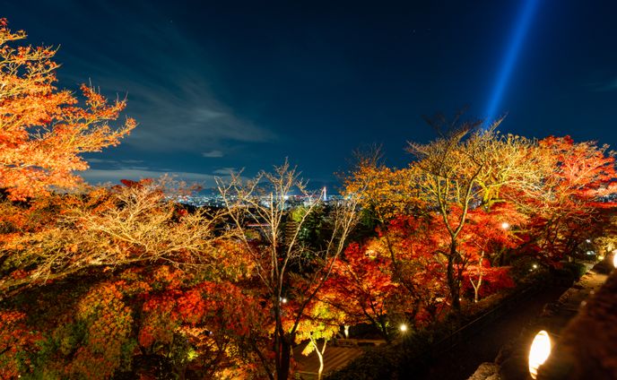 風景