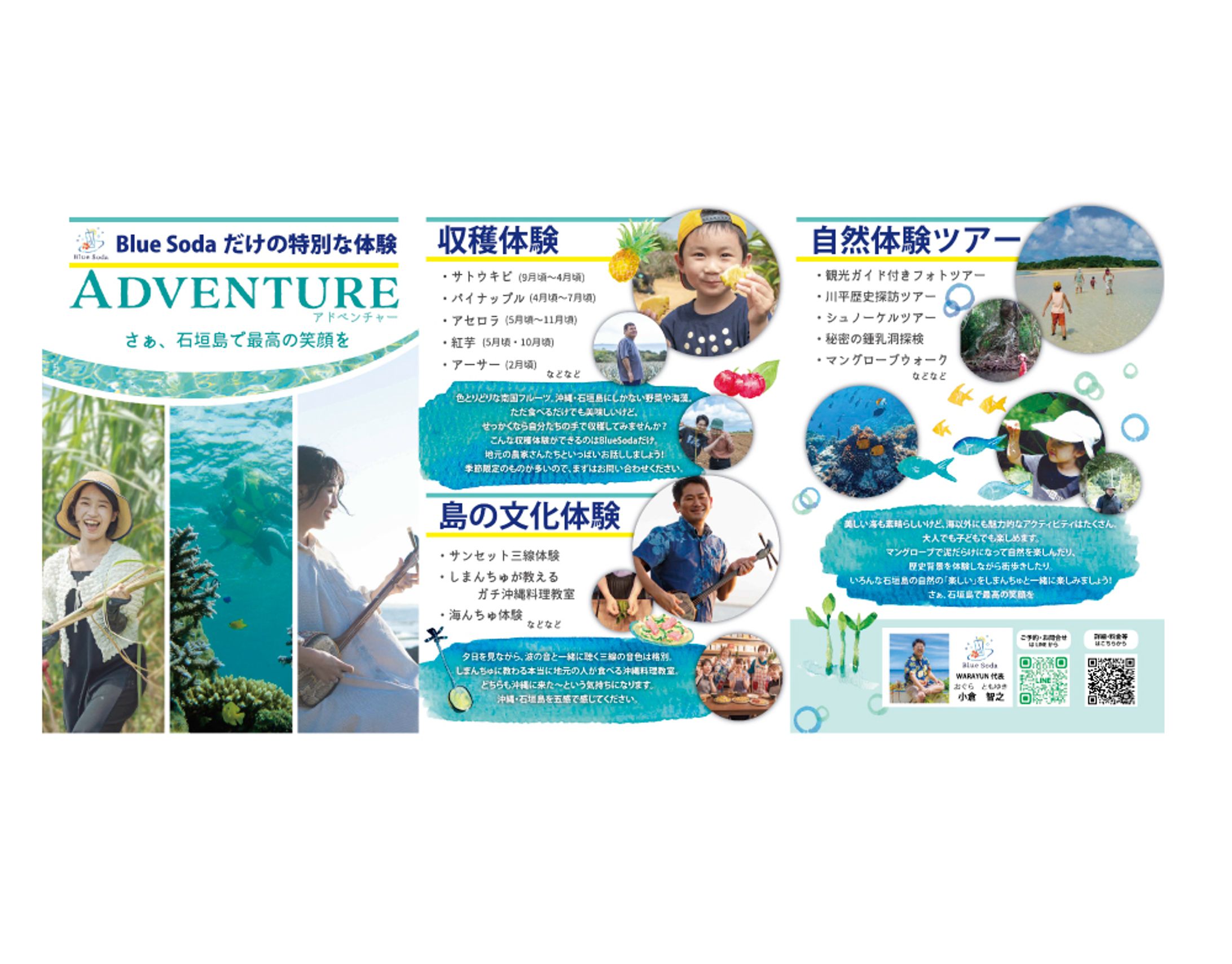 BlueSoda様パンフレット制作-1