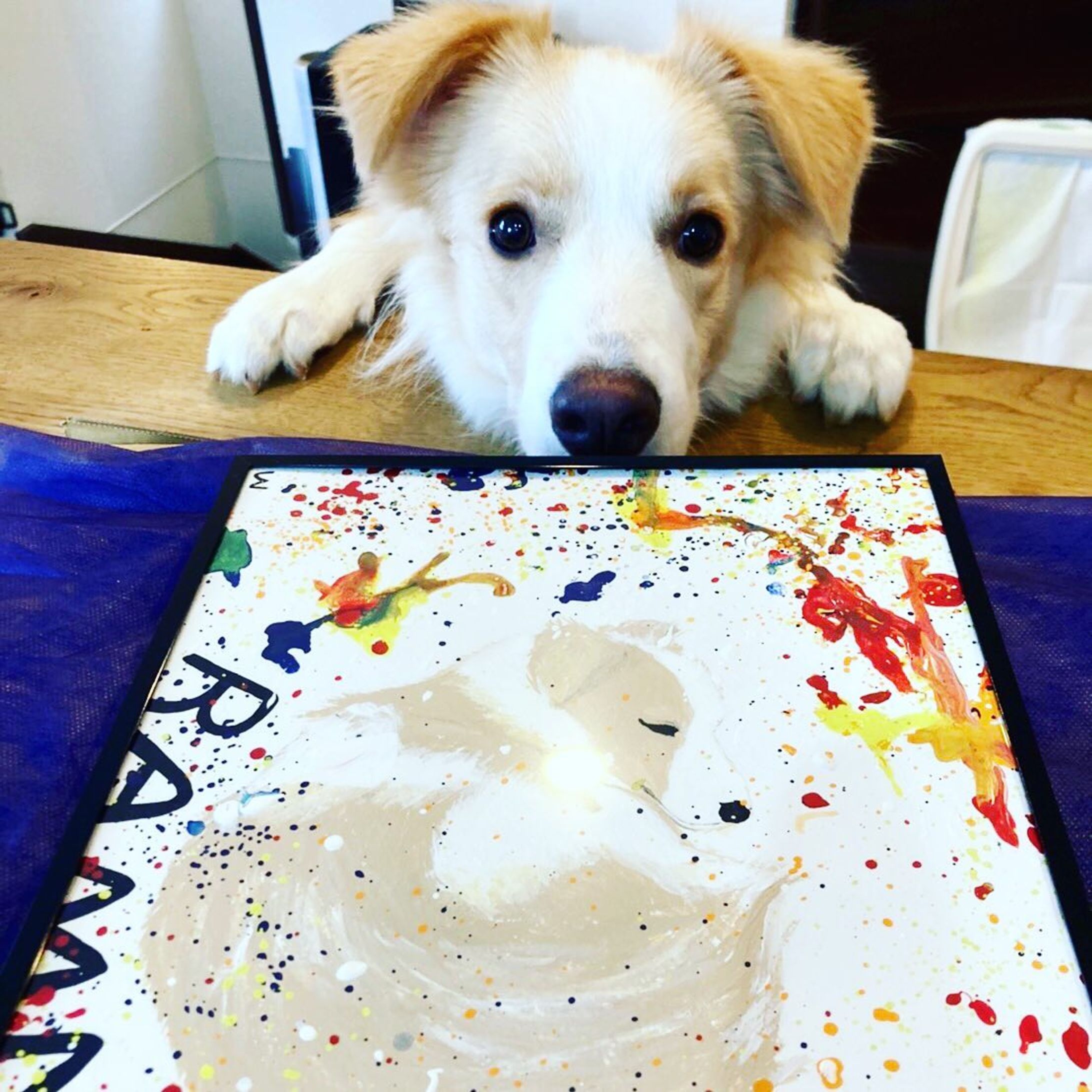 ー
お友達の愛犬、ラメたん🐶
モデルになっていただきました。

ラメルジーというアーティストが
お名前の由来ということで
ラメルジーテイストで🎨

#ラメルジー #犬スタグラム #ワンコ #犬イラスト #動物イラスト #アート #ギャラリー #ギャラリーカフェ #dog #dogillustration #dogillustrations #doginsta #artofinstagram #worksonpaper 
#bordercollie #bordercolliesofinstagram #bordercollies #ramellzee #relaxmagazine #jacksonpollock-1