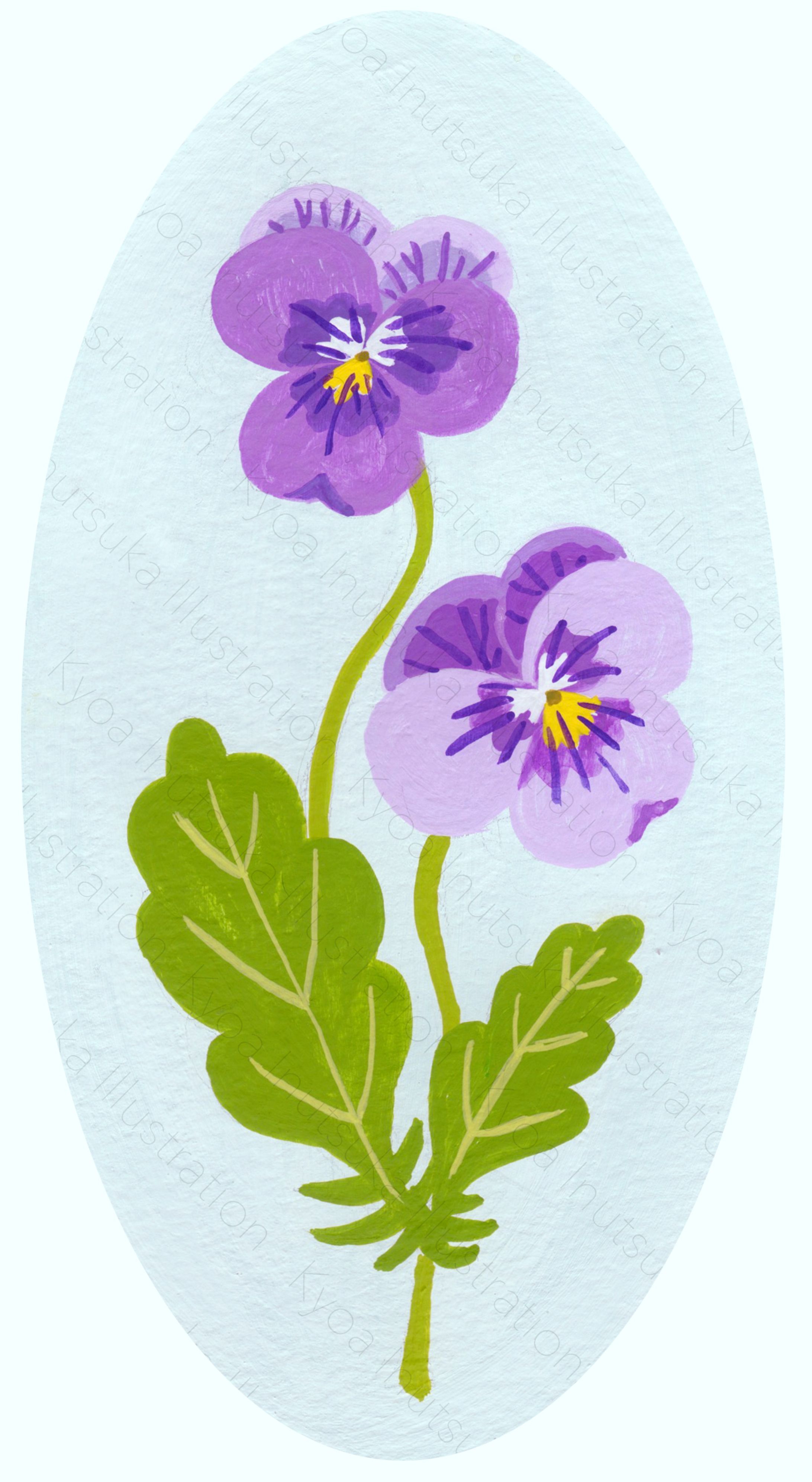 pangies-1