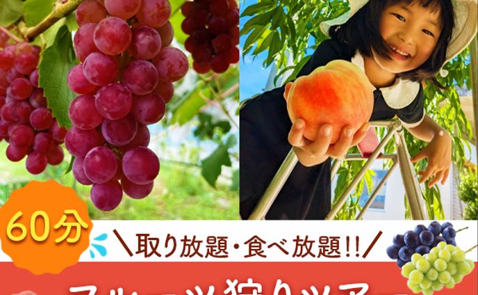バナー：フルーツ狩り