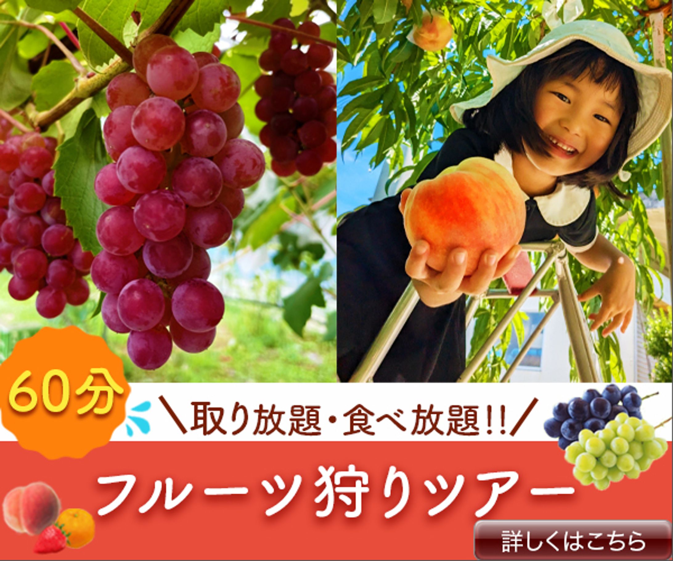 バナー：フルーツ狩り-1