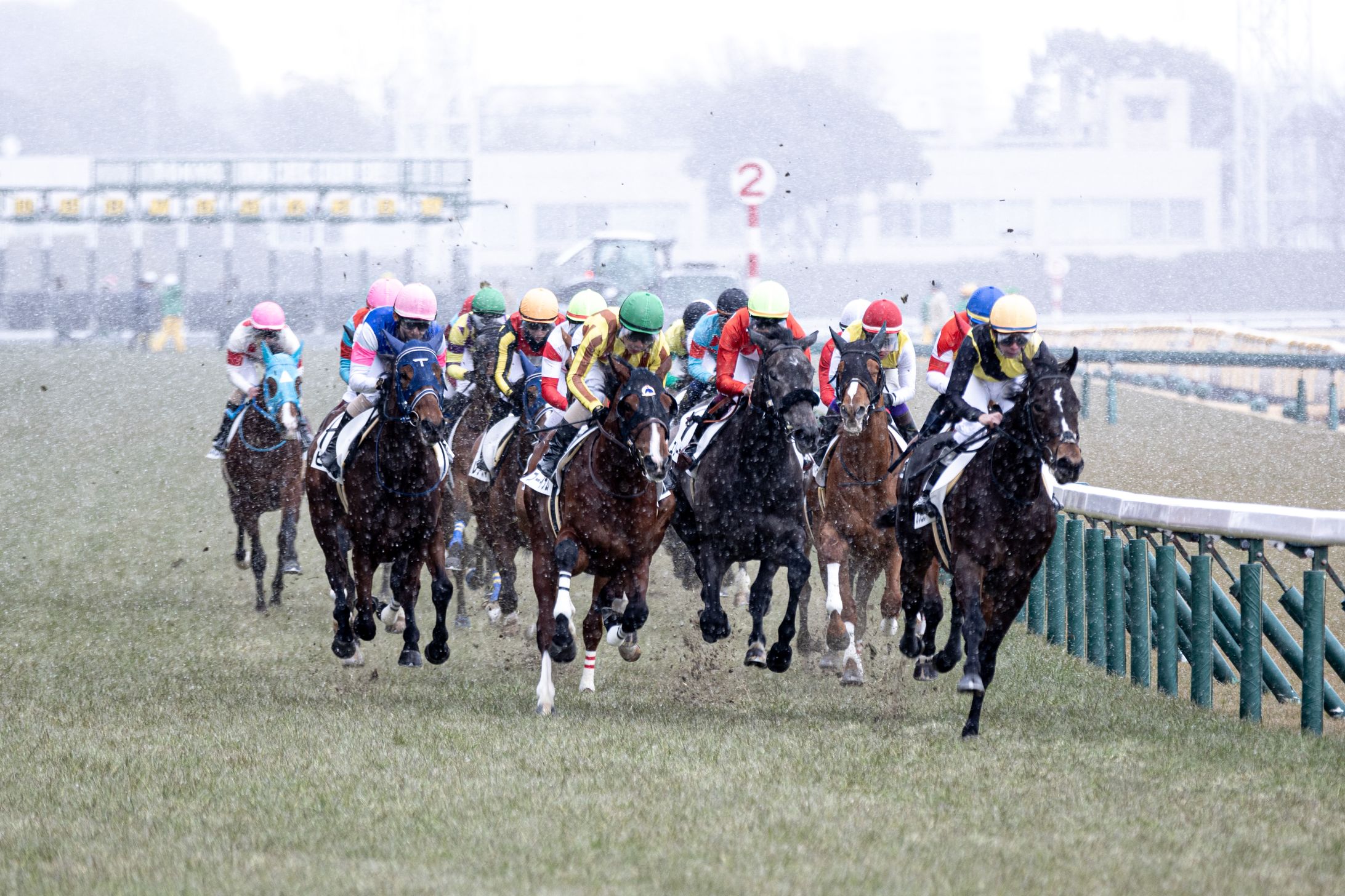 競馬-1