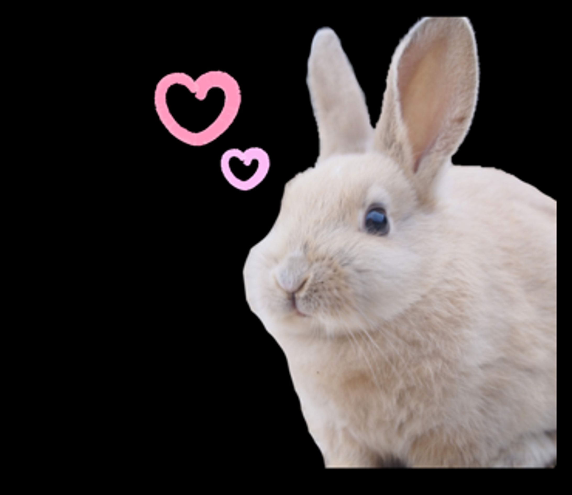 LINEスタンプ （動物）-1