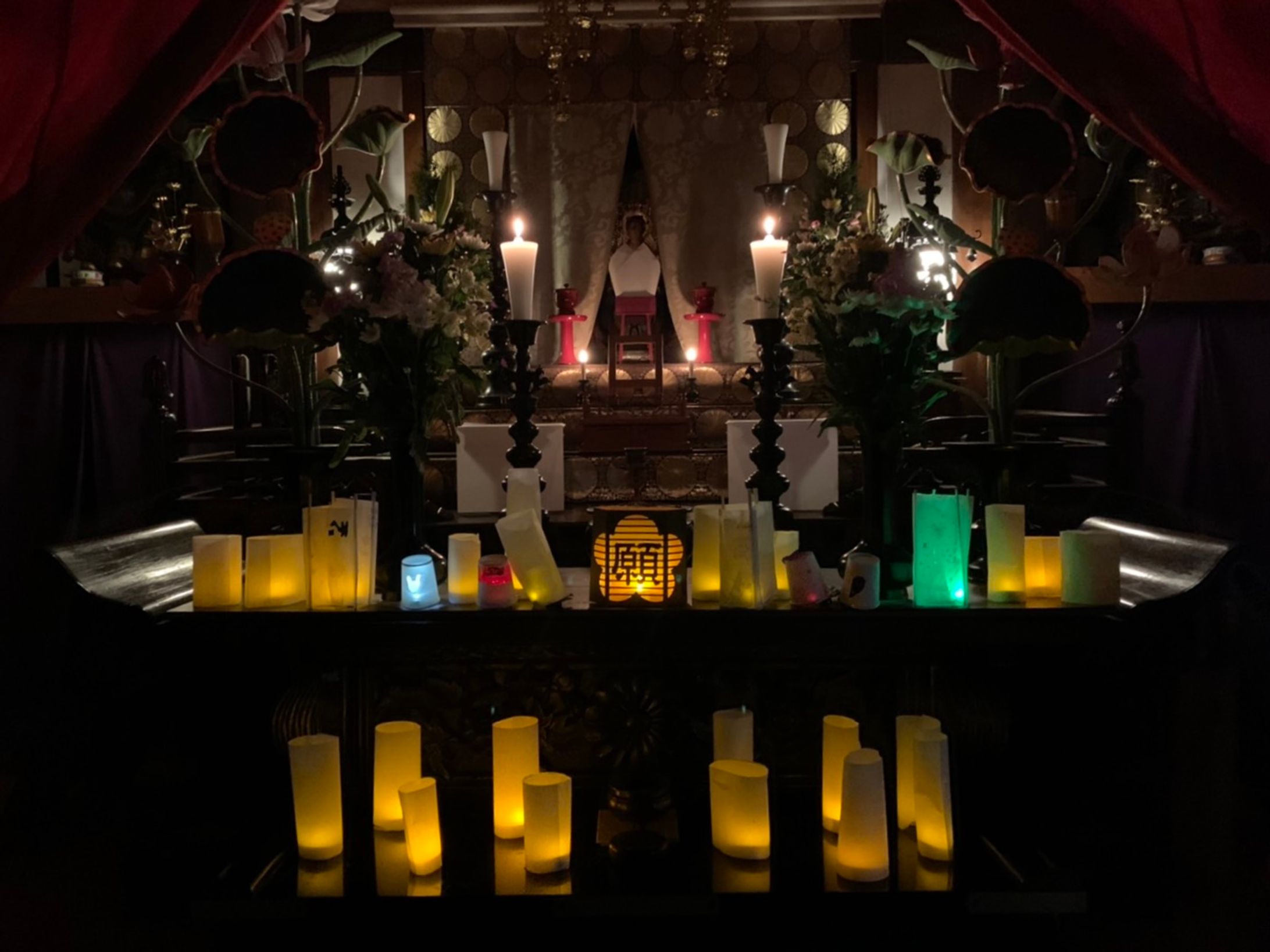 テラミネーション (お寺×プログラミング×イルミネーション)-1