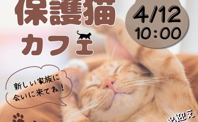 保護猫カフェ 架空バナー