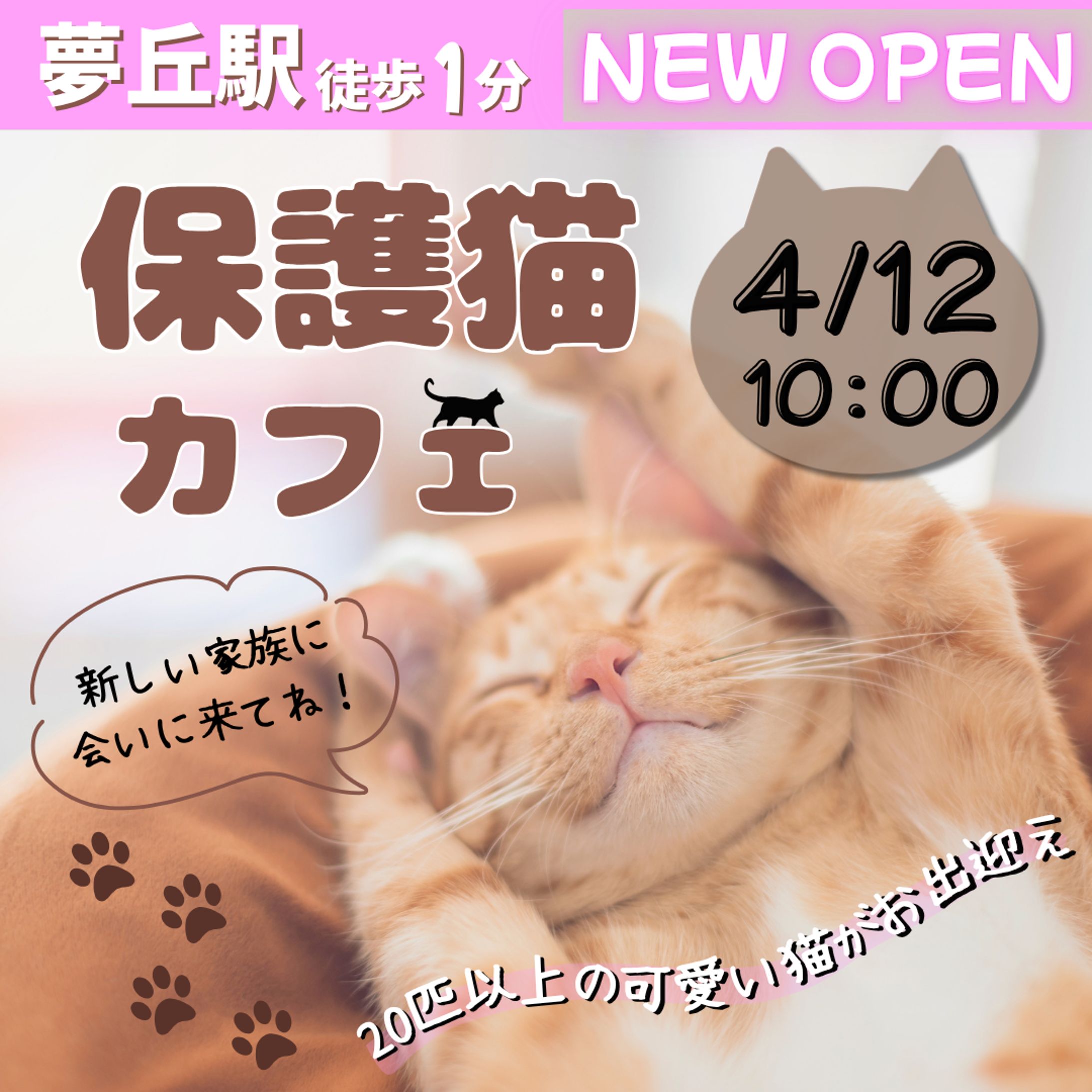 保護猫カフェ 架空バナー-1