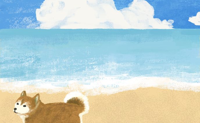 art_ippi ６月テーマ「柴犬」
