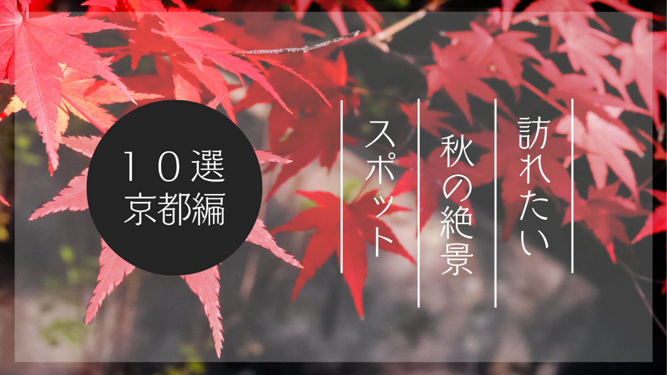 秋の絶景スポット紹介動画サムネイル-1