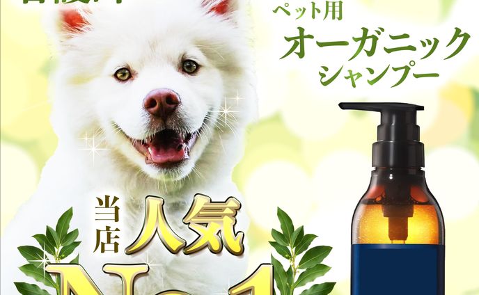 グラフィックデザイン、小売