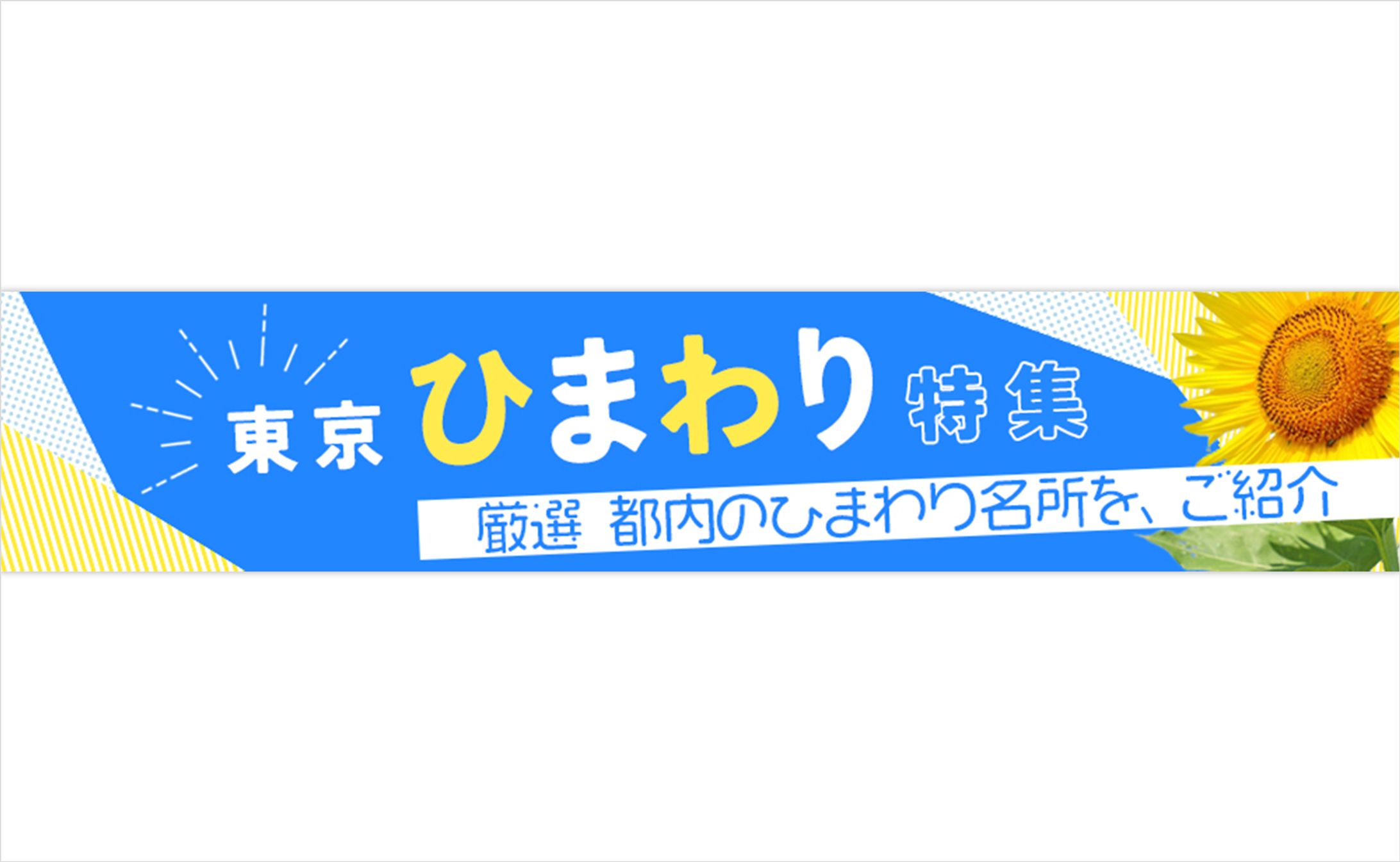 ひまわり名所特集バナー-1