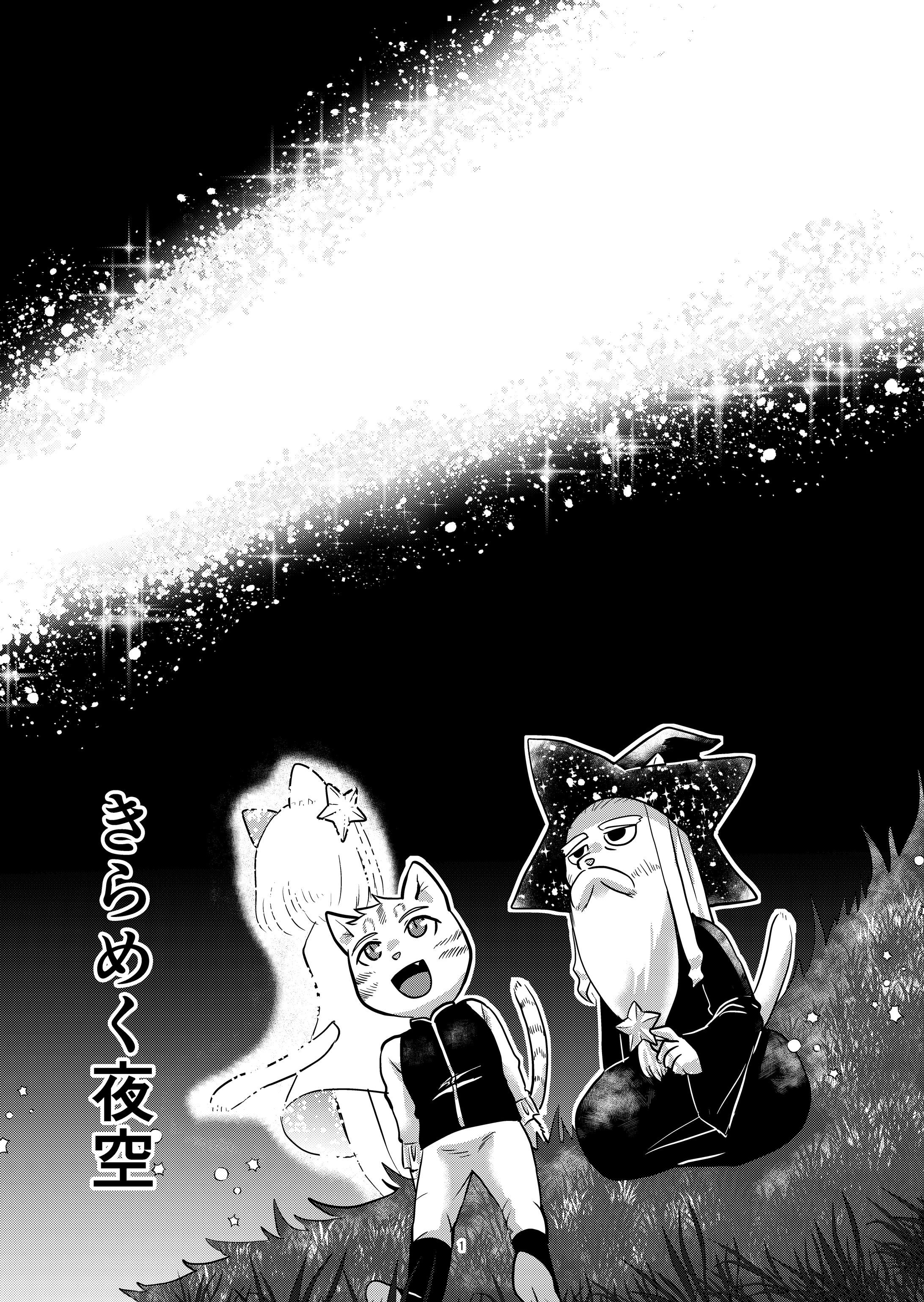きらめく夜空-1