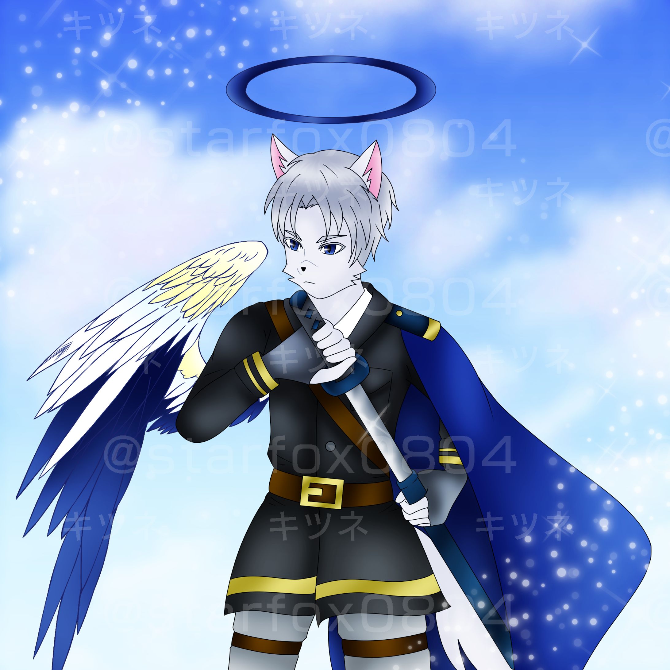 空の近衛隊長-1