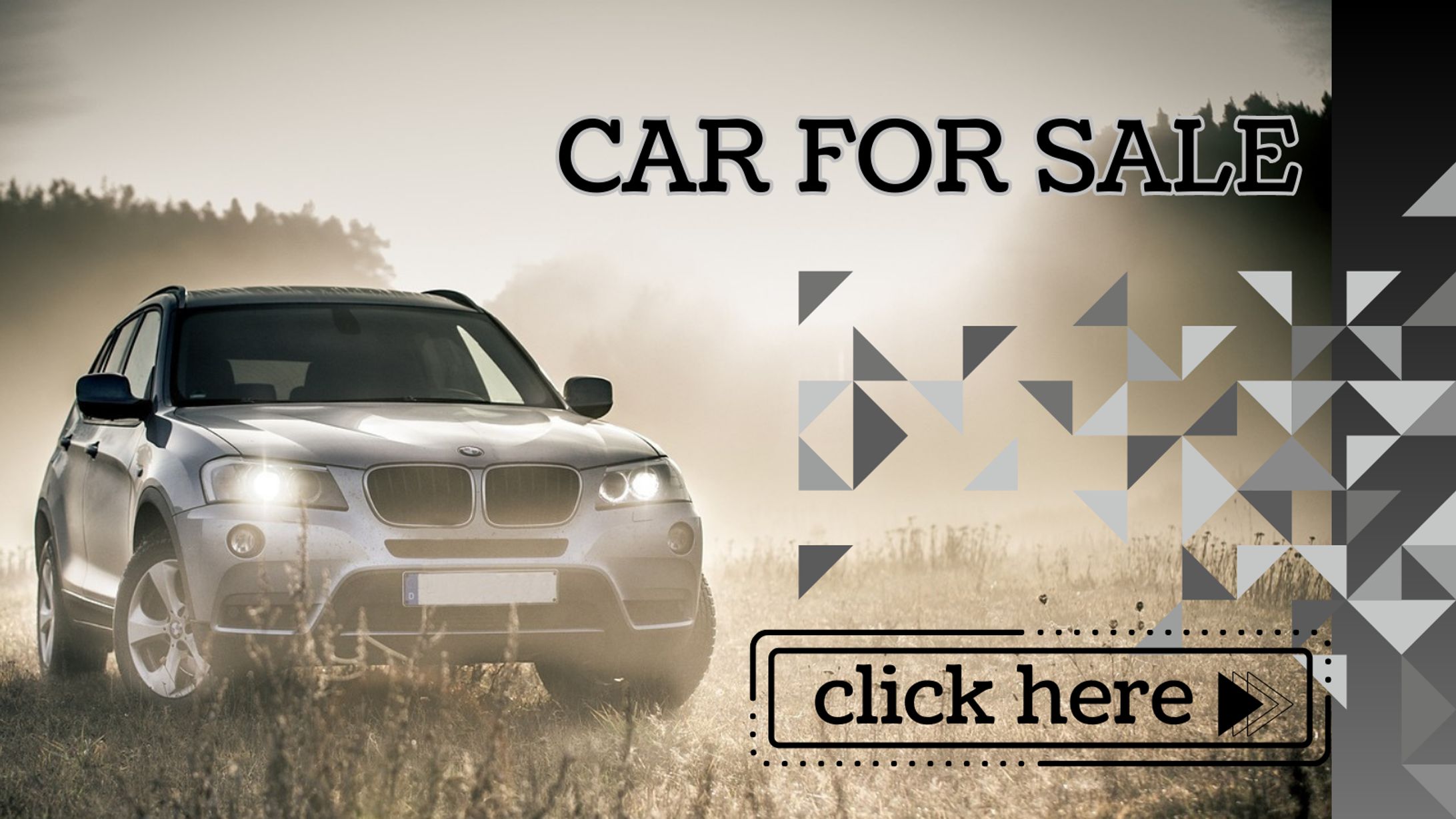 CAR FOR SALE-1