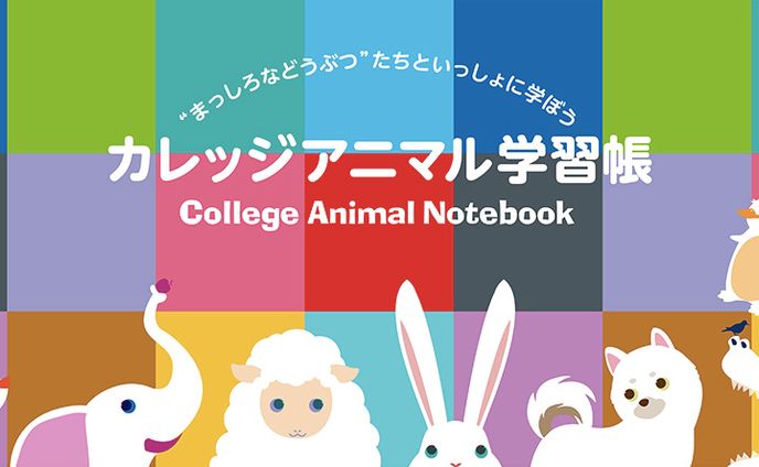 【印刷物】日本ノート　店頭パネル