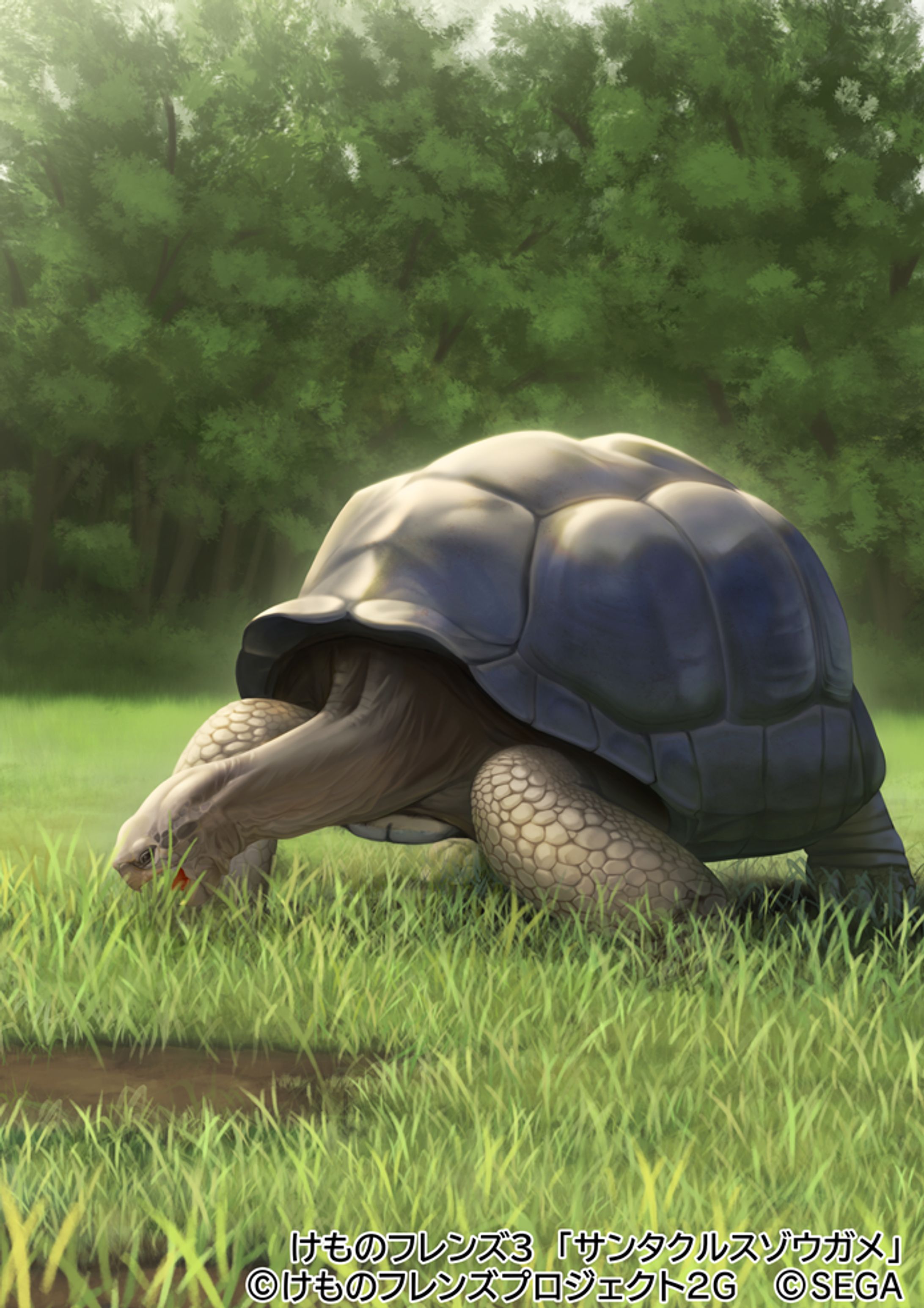 【けものフレンズ３】サンタクルスゾウガメ-1