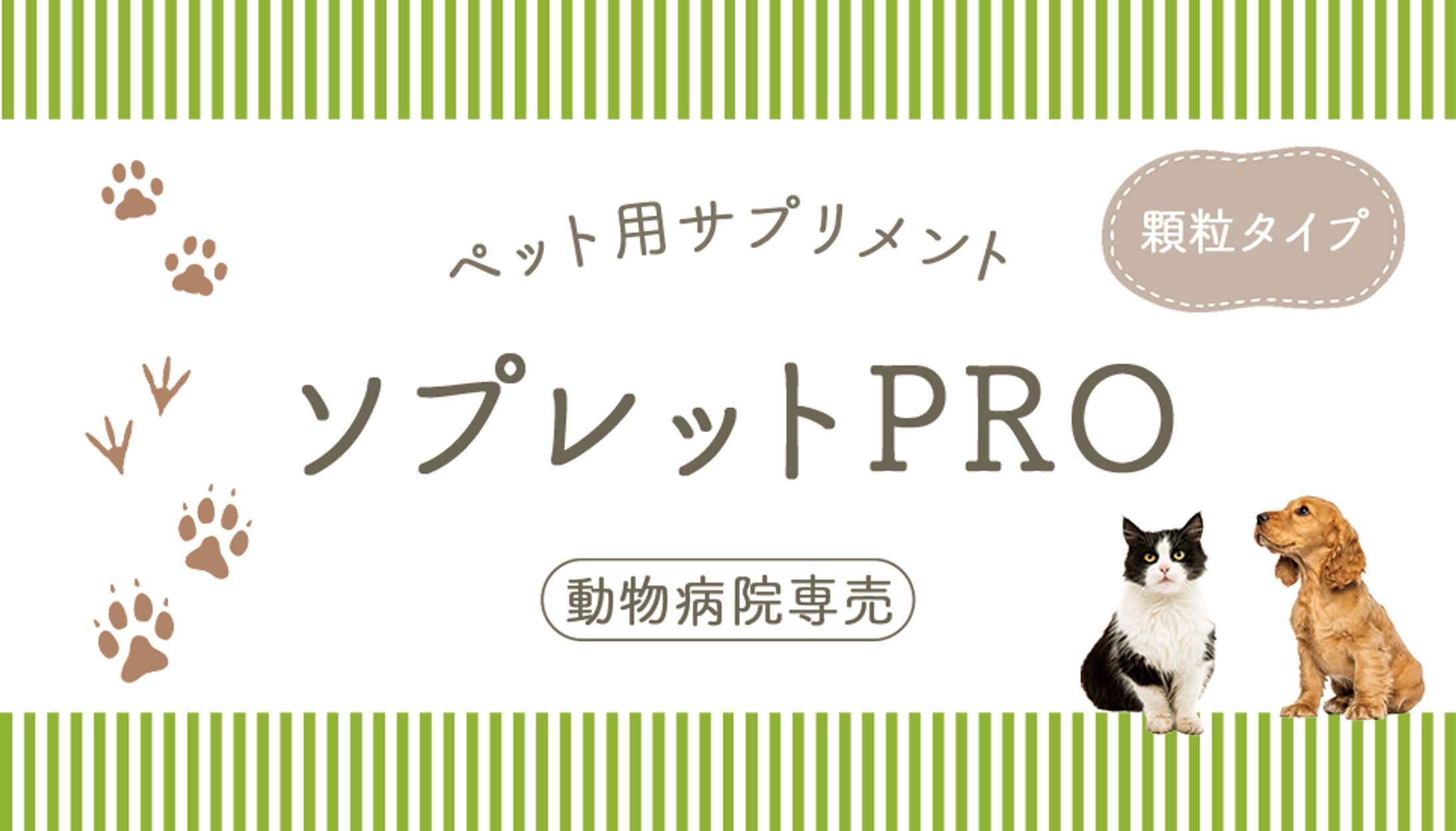 【パッケージ】サプリメント-1