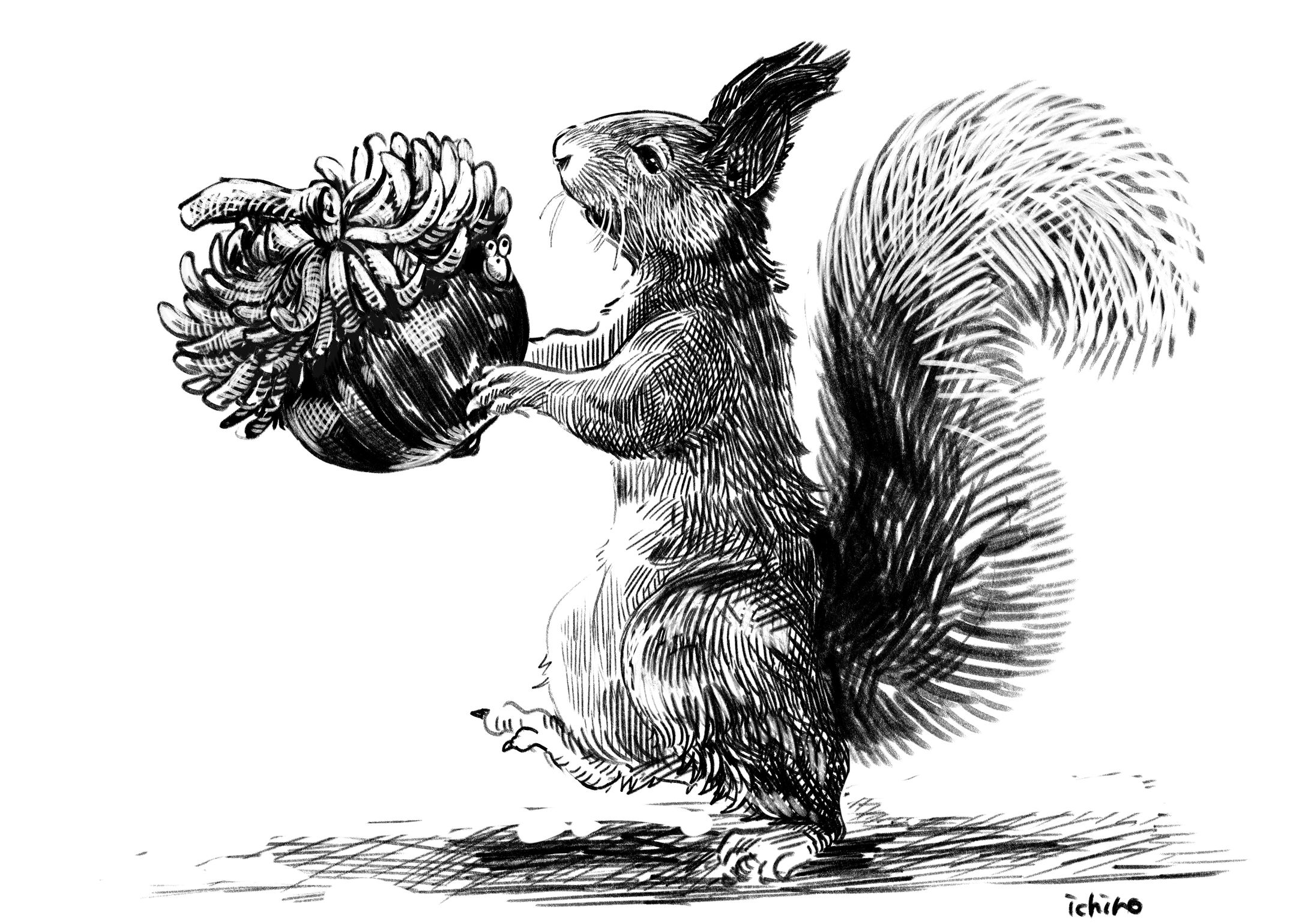 animal black&white-1