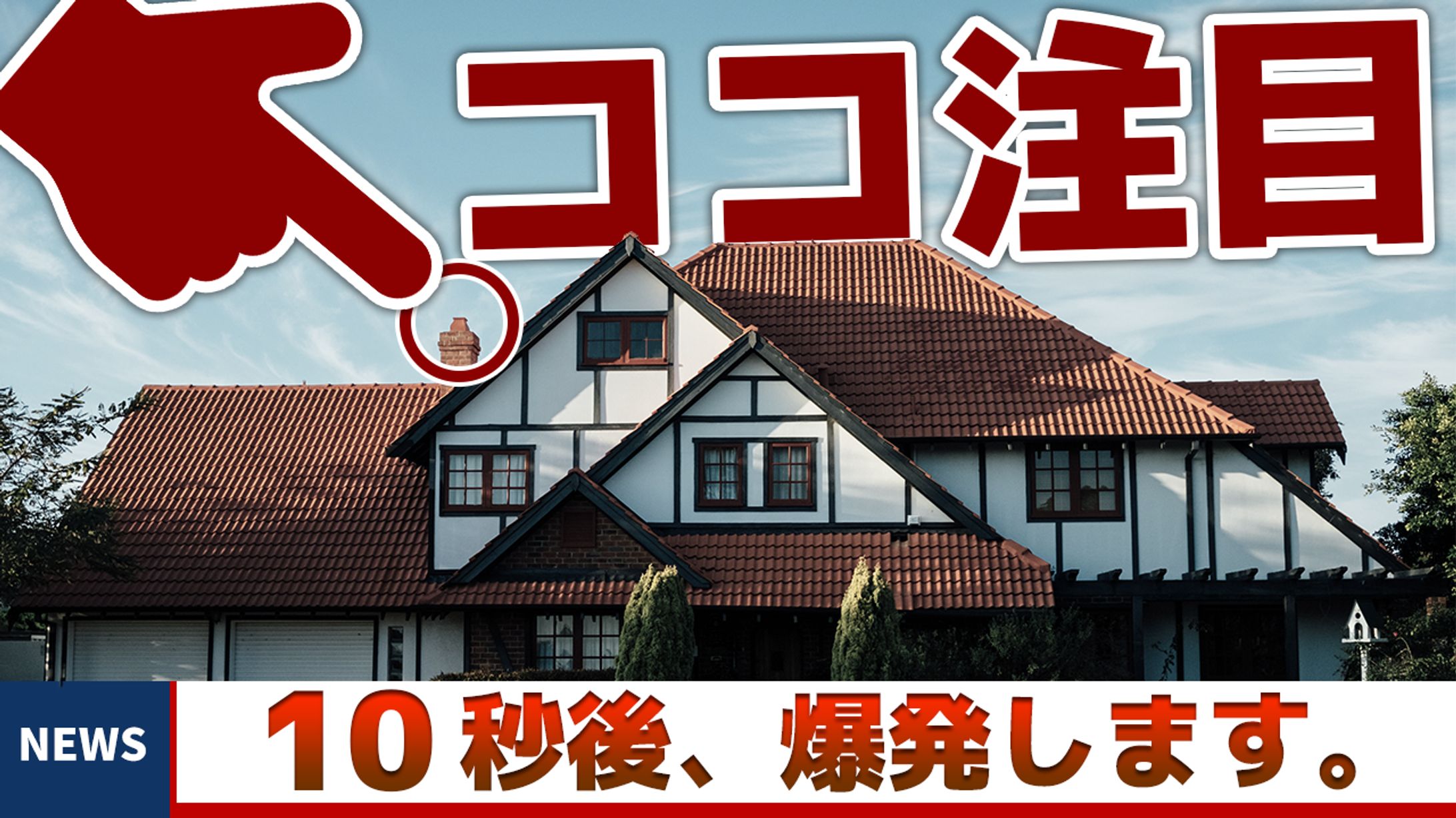 【サムネイル】エンタメ・バラエティ系-1