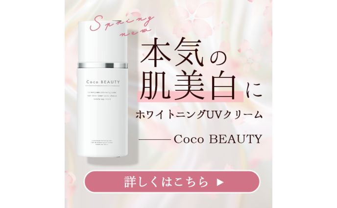 プログラマ、電子書籍
