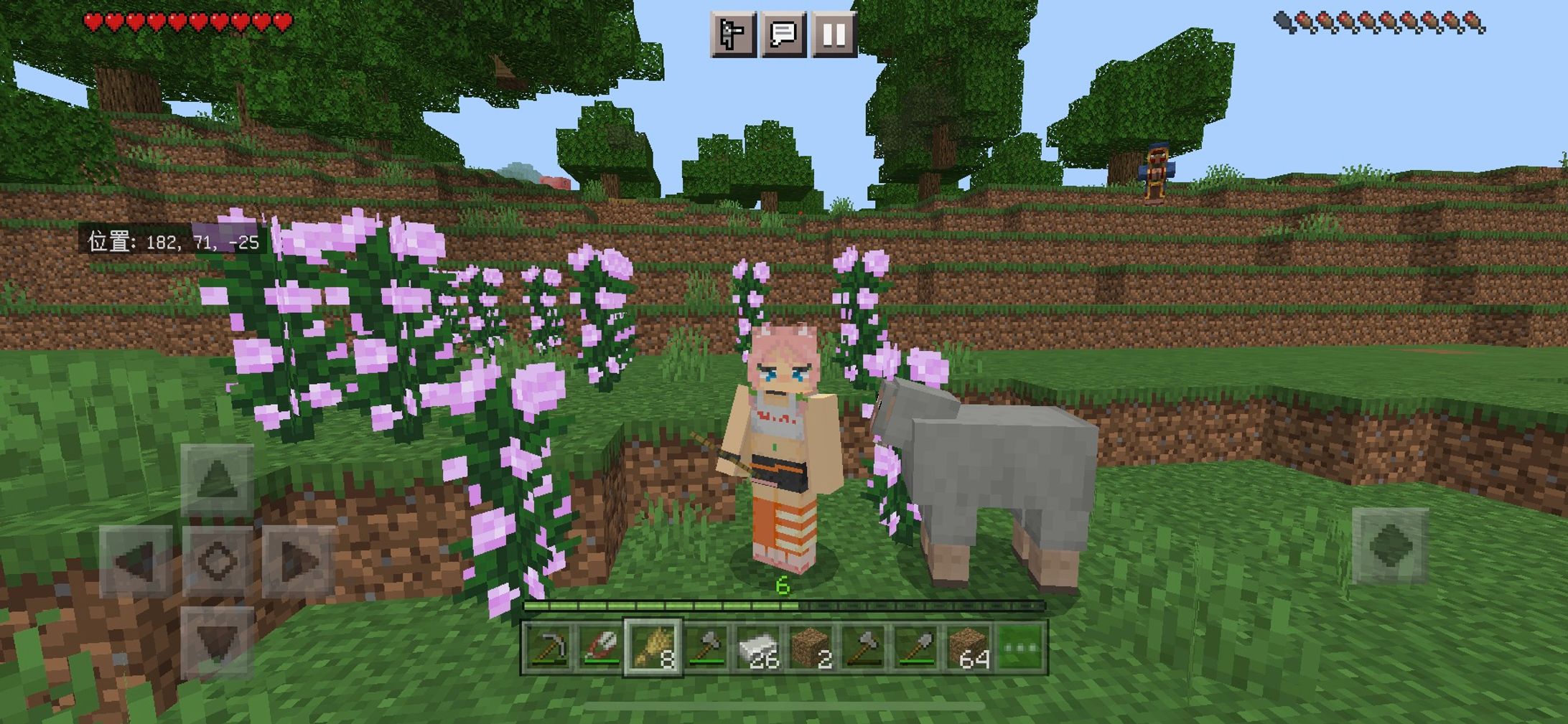 マイクラスキン-1