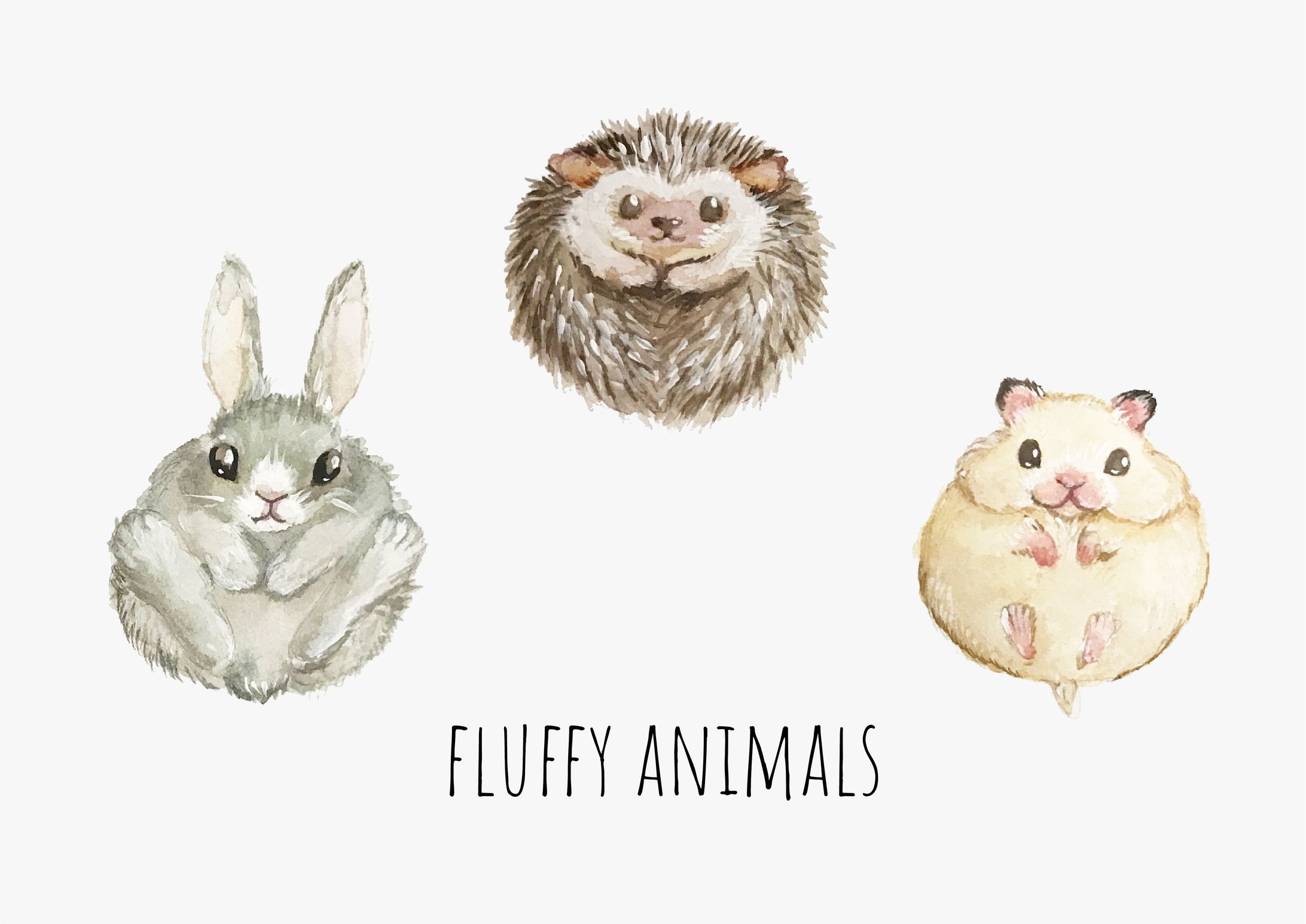 動物イラスト-1