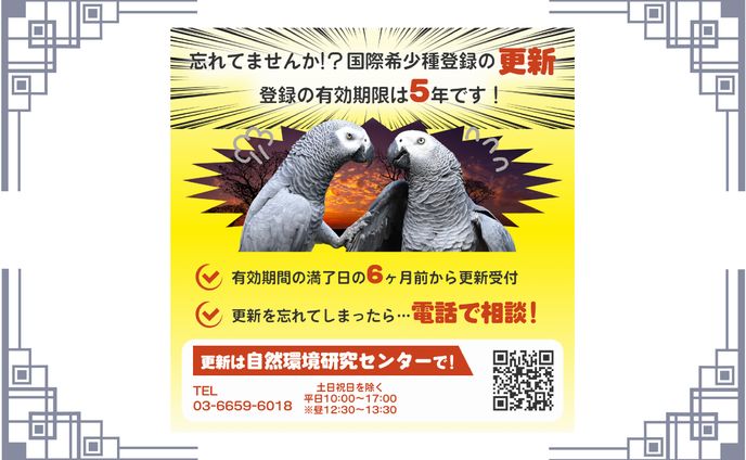【バナー】ヨウム　国際希少種登録　更新