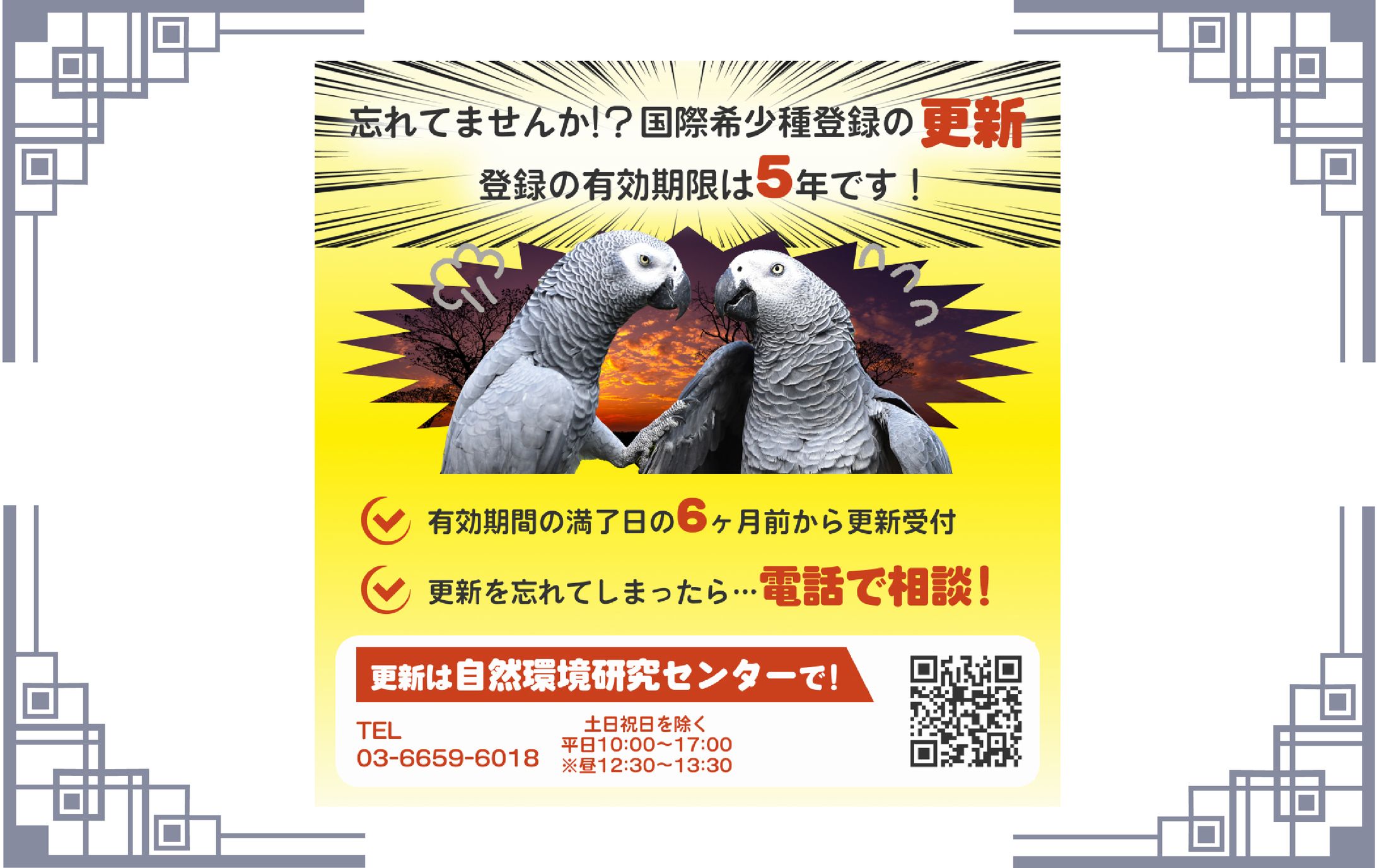 【バナー】ヨウム　国際希少種登録　更新-1